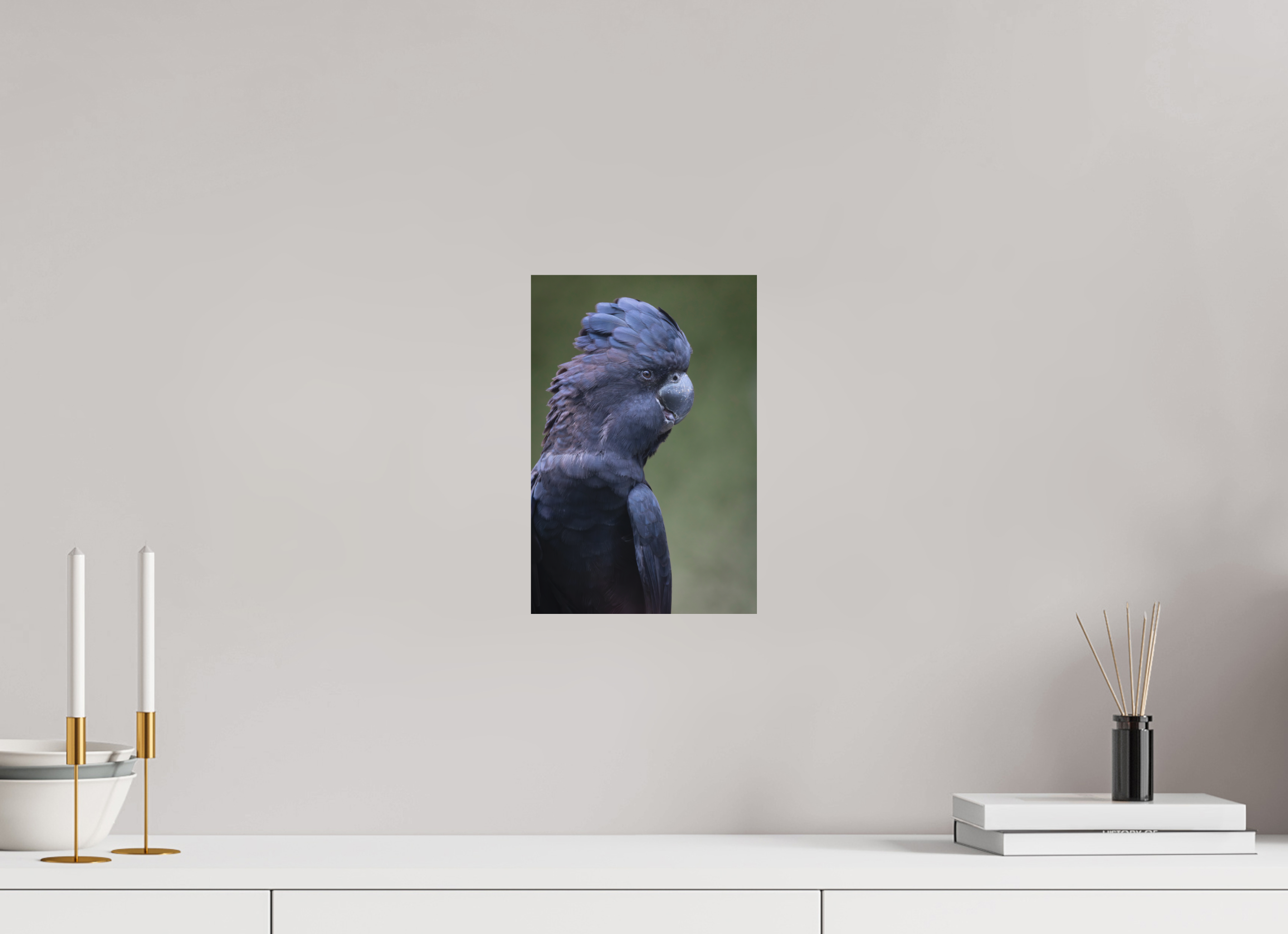 20 x 30 cm, Fine-Art Print Matt Profile of the Black Cockatoo