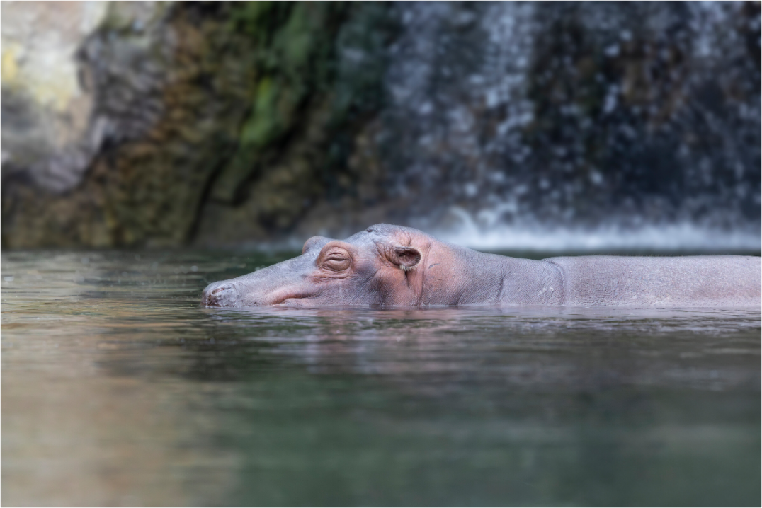 Main image Peaceful Slumber