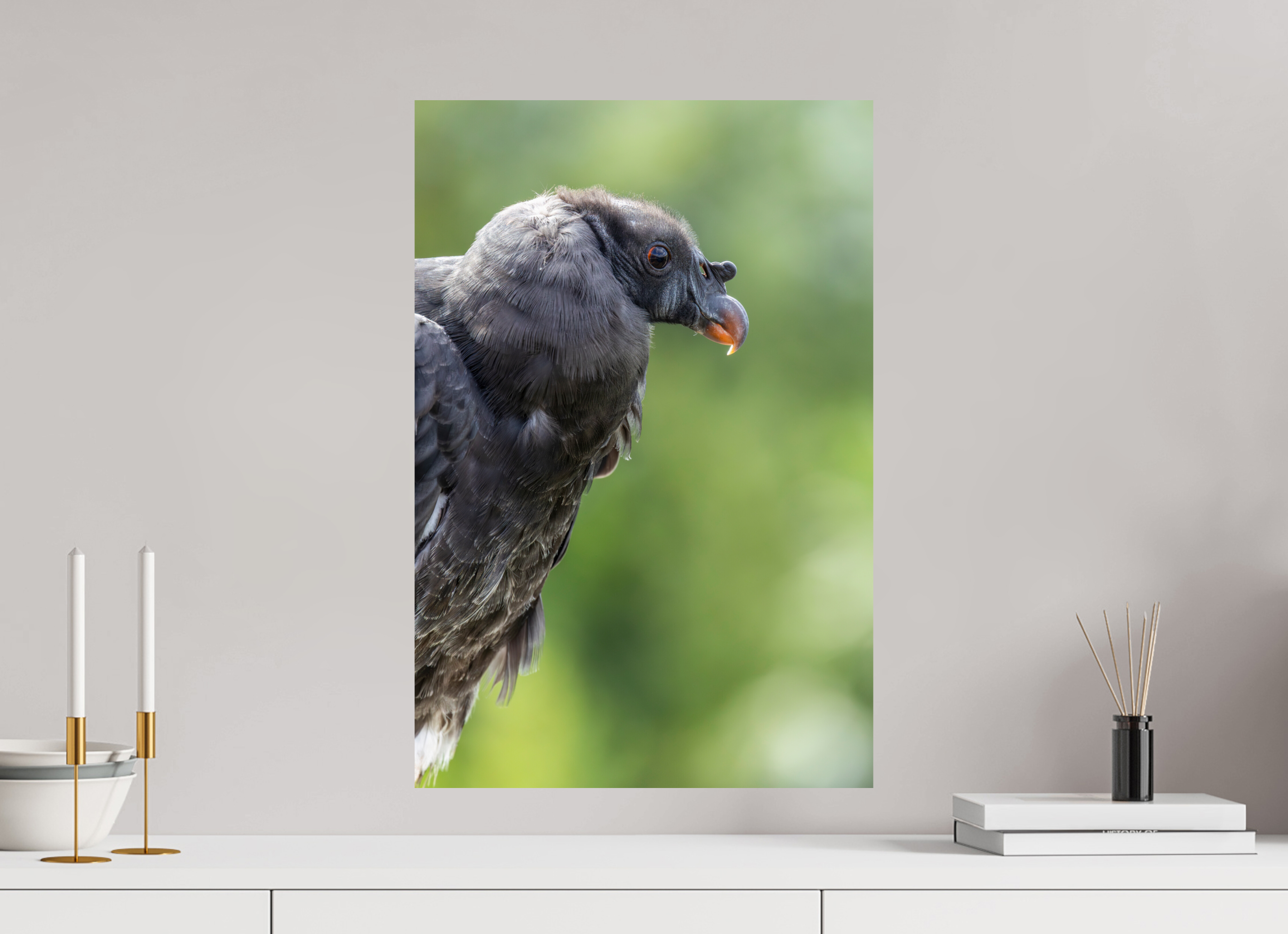 40 x 60 cm, Fine Art Print auf Alu-Dibond Royal Youth