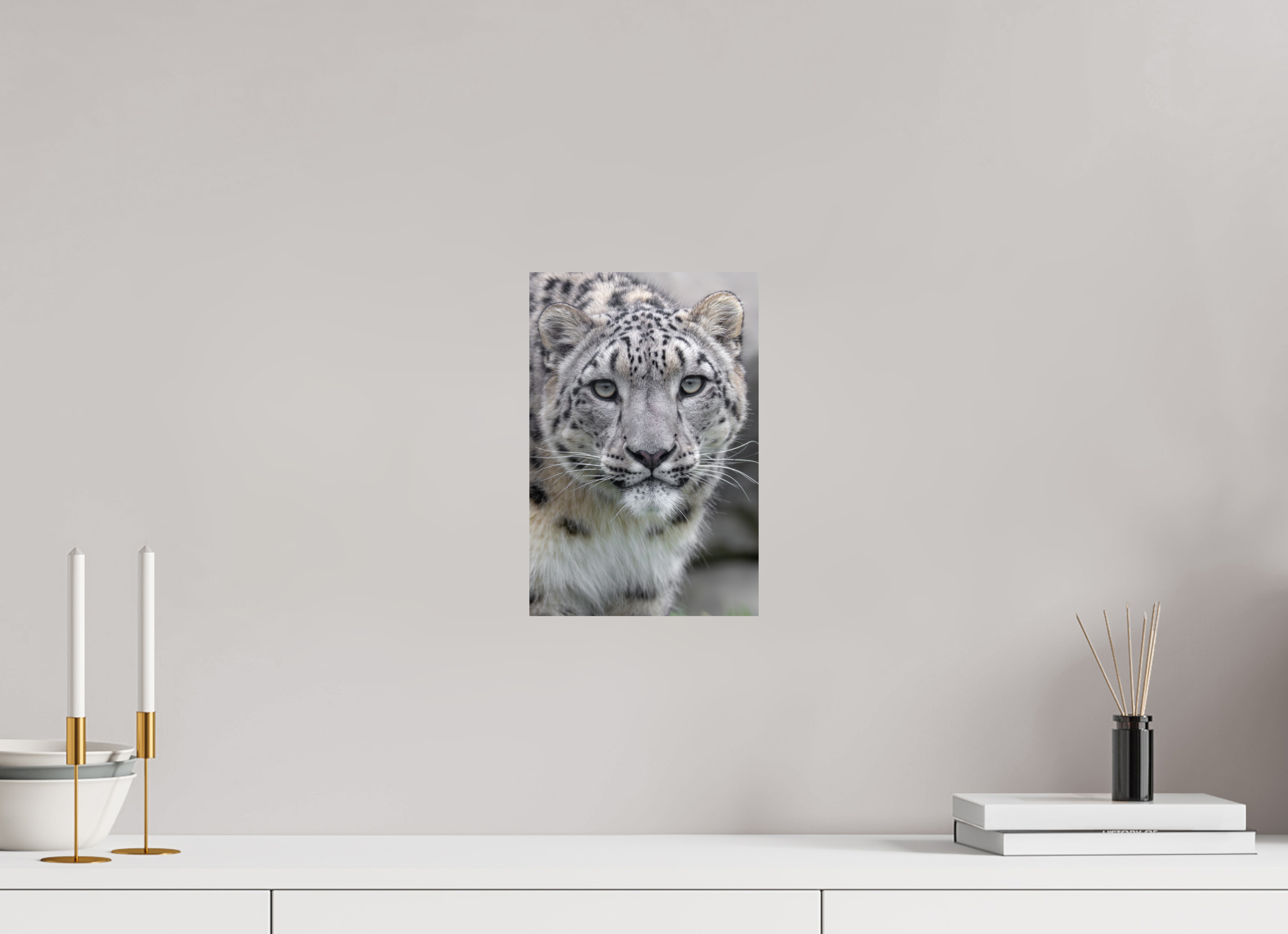 20 x 30 cm, Fine Art Print auf Alu-Dibond Gentle Curiosity