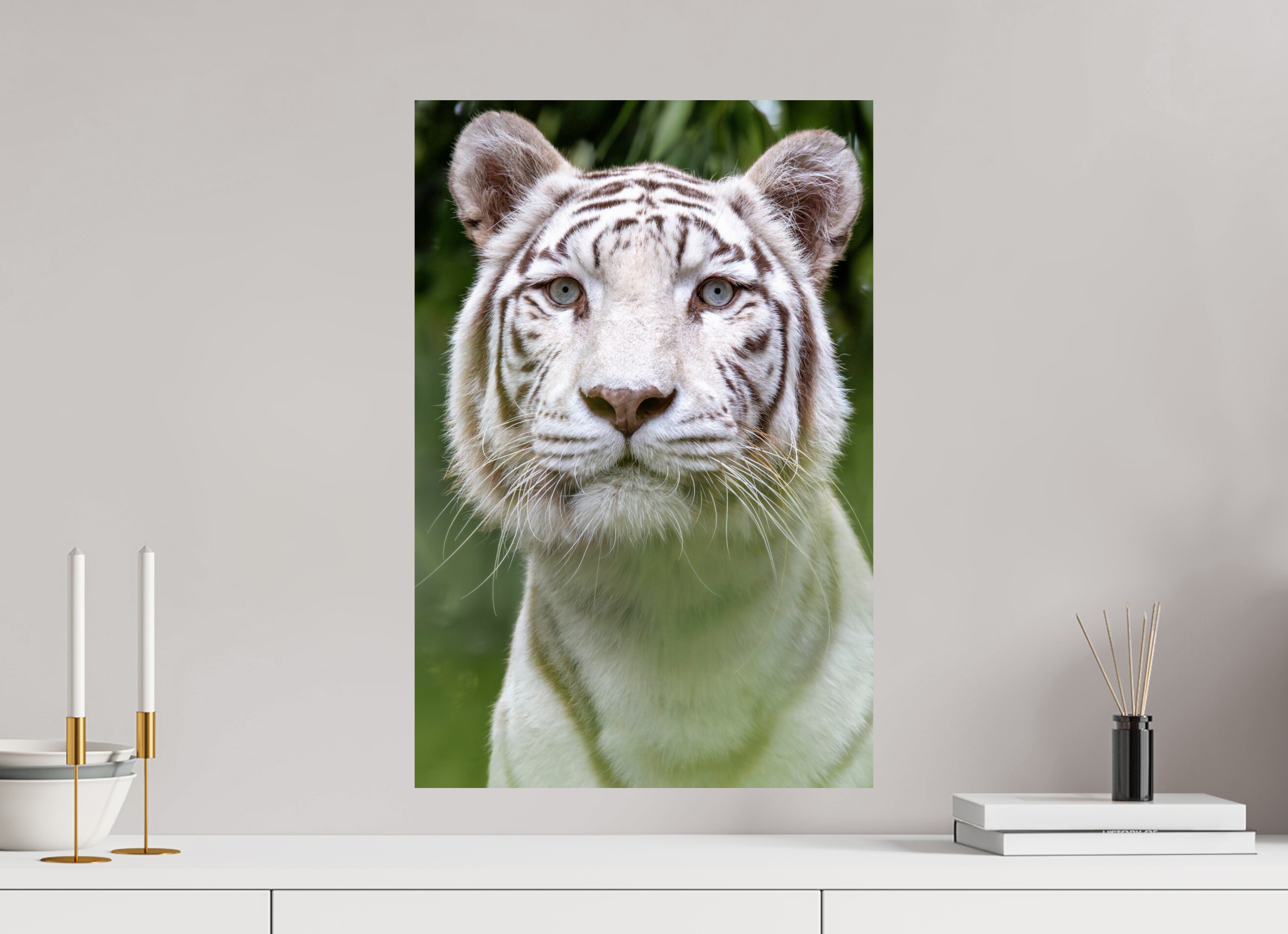 40 x 60 cm, Fine Art Print auf Alu-Dibond Jungle Phantom