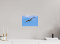 30 x 20 cm, Fine Art Print auf Alu-Dibond Hunter of the Breeze
