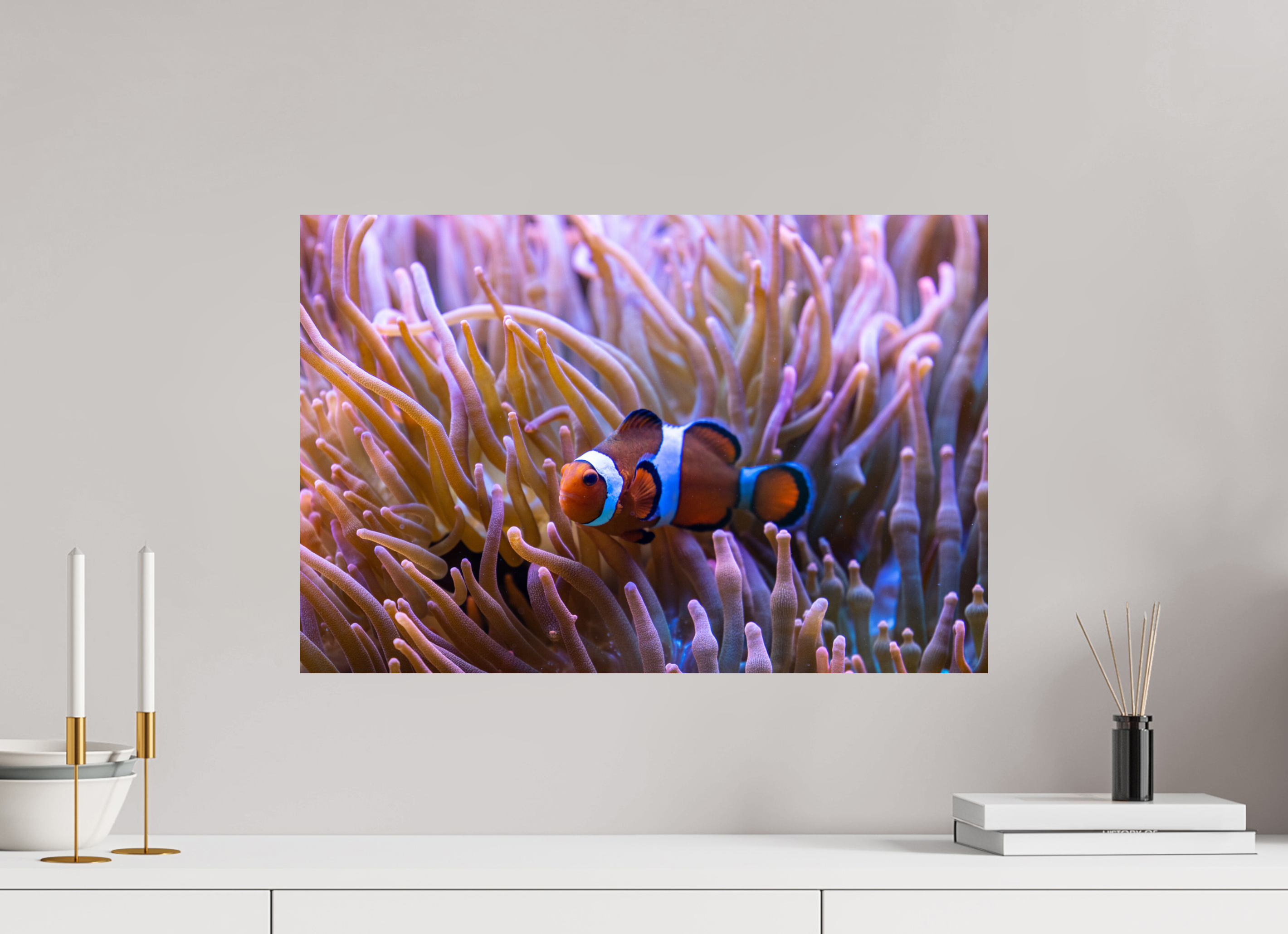 60 x 40 cm, Fine Art Print auf Alu-Dibond Reef Life