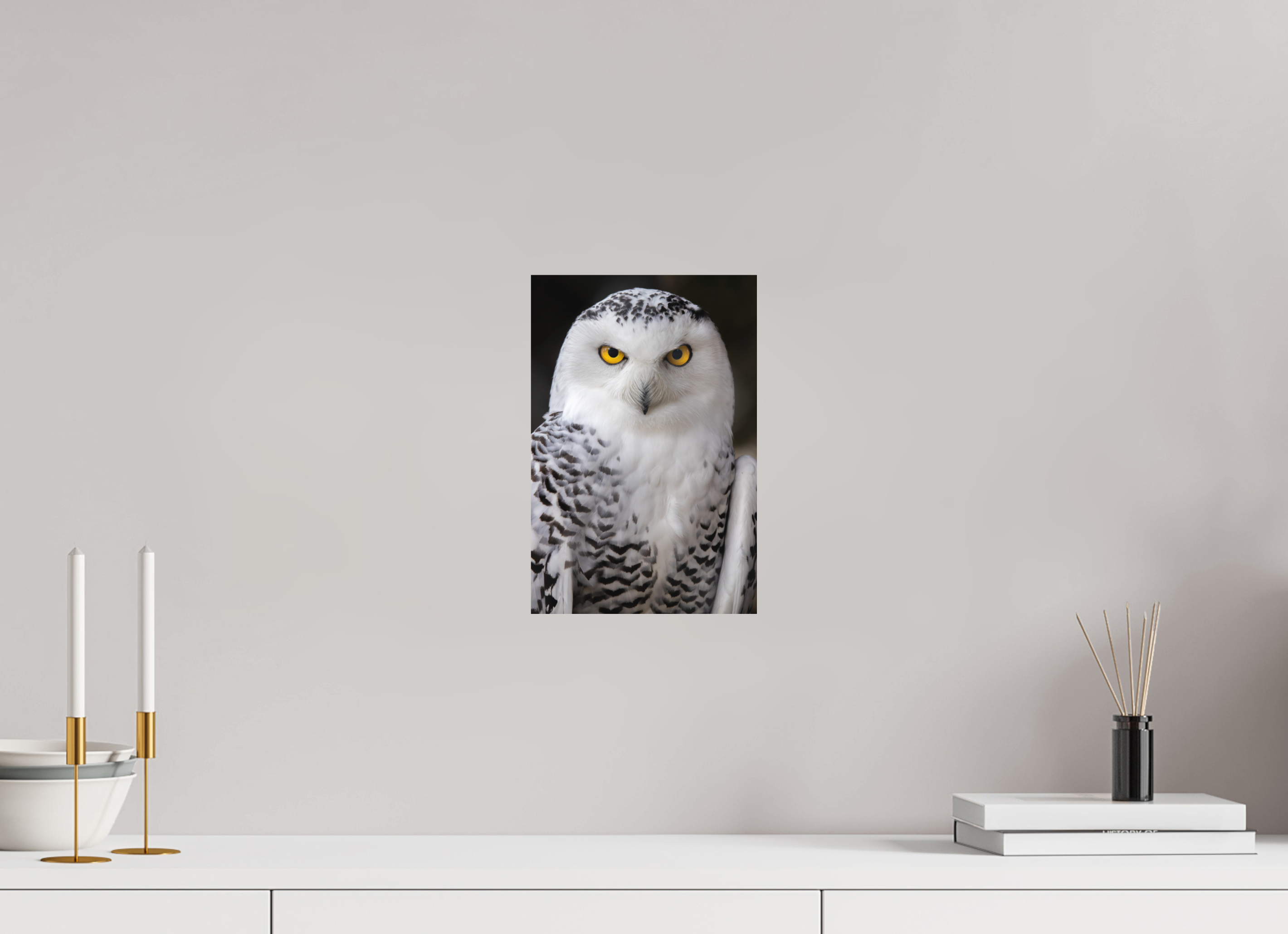 20 x 30 cm, Fine-Art Print Matt Arctic Stare