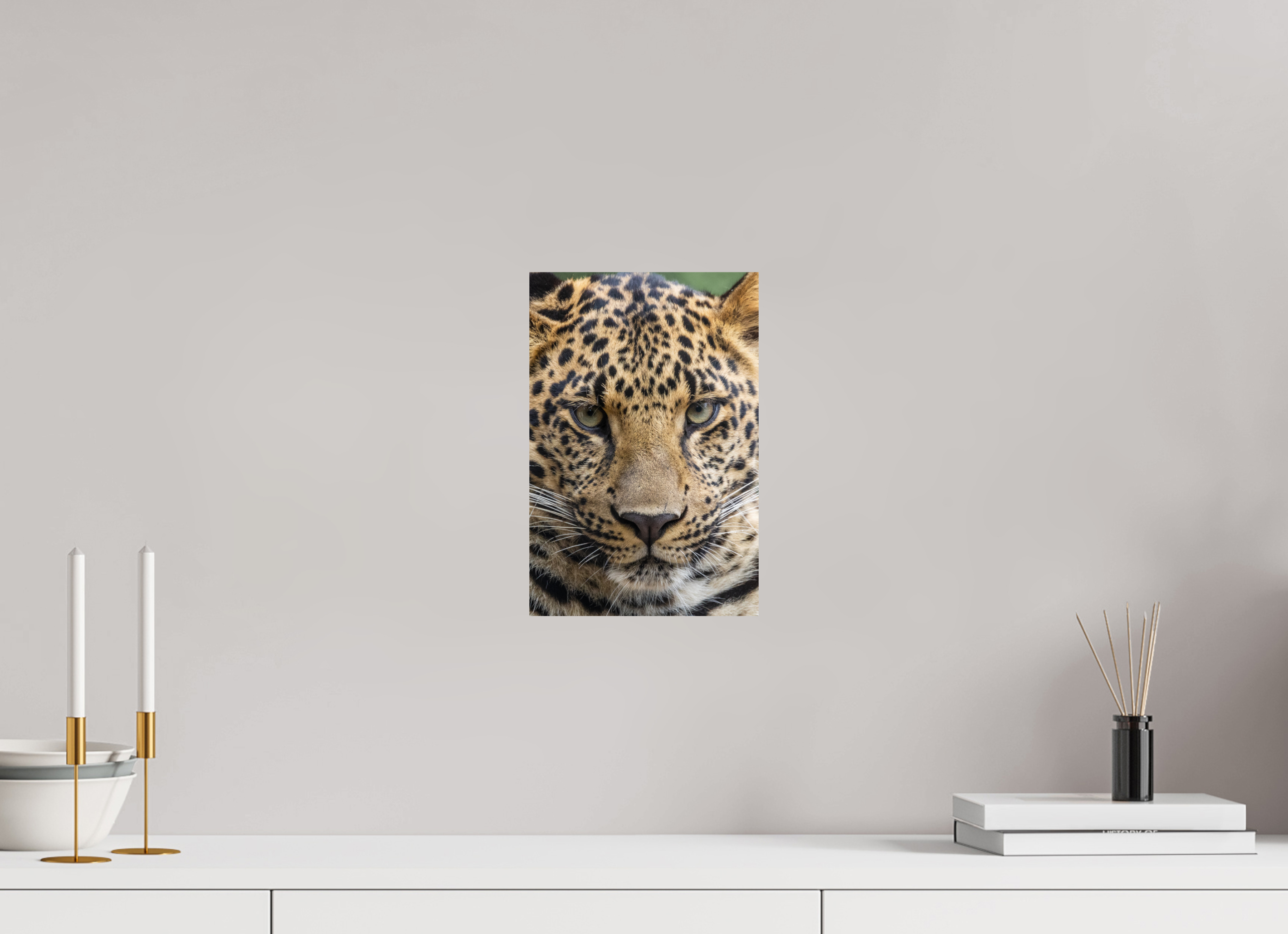 20 x 30 cm, Fine Art Print auf Alu-Dibond Wild Focus