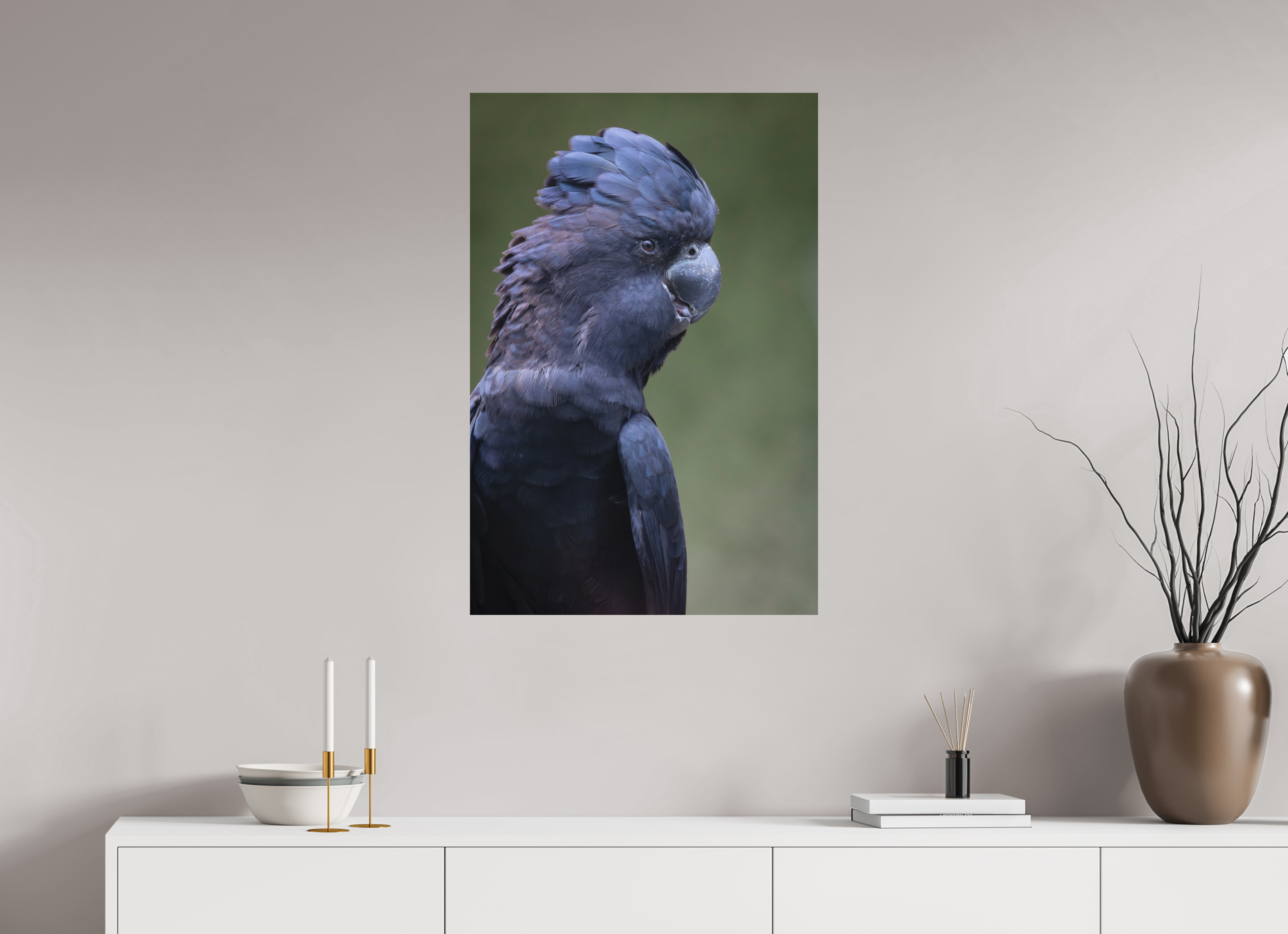 60 x 90 cm, Fine-Art Print Matt Profile of the Black Cockatoo