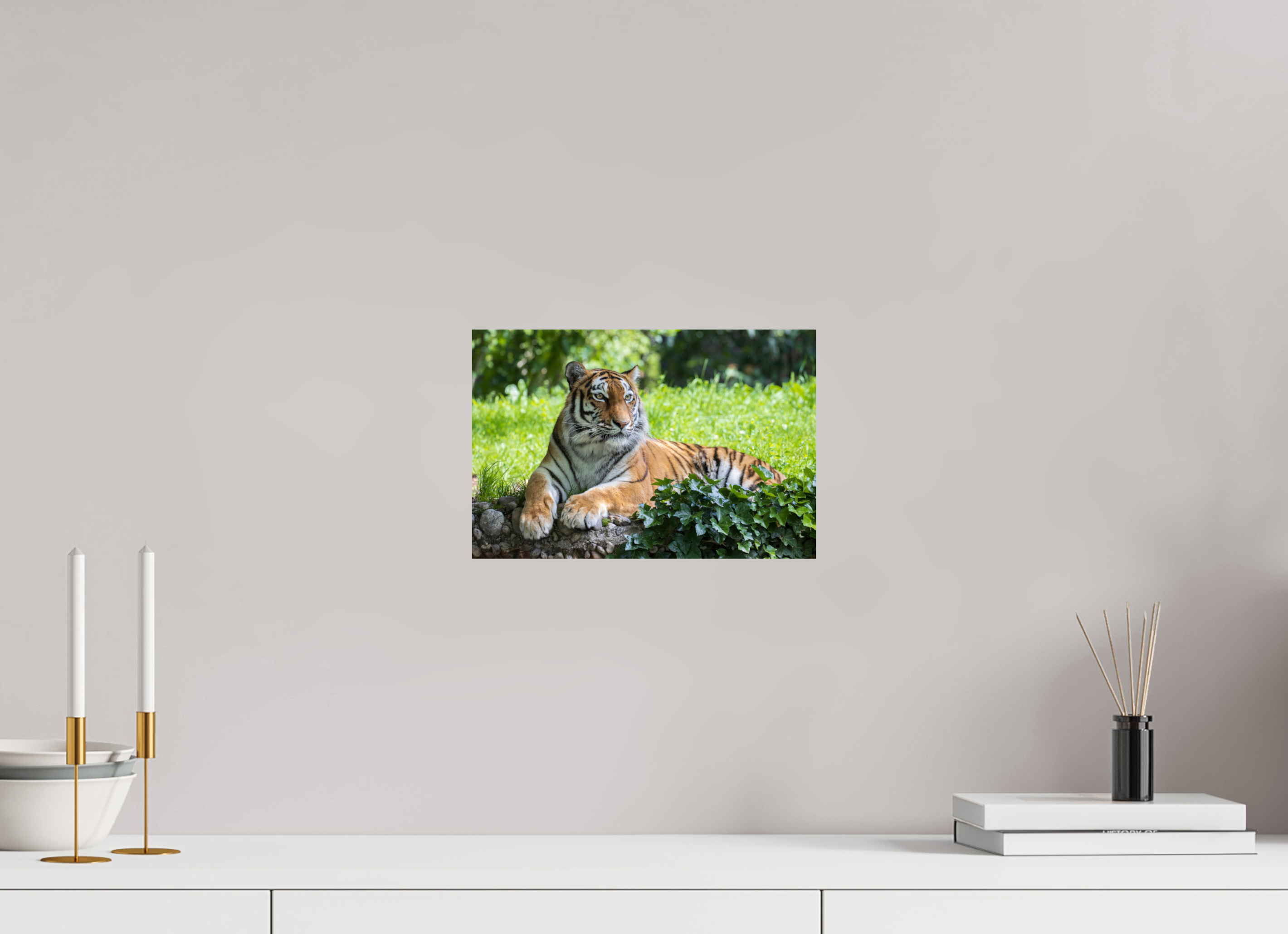 30 x 20 cm, Fine Art Print auf Alu-Dibond Resting Predator