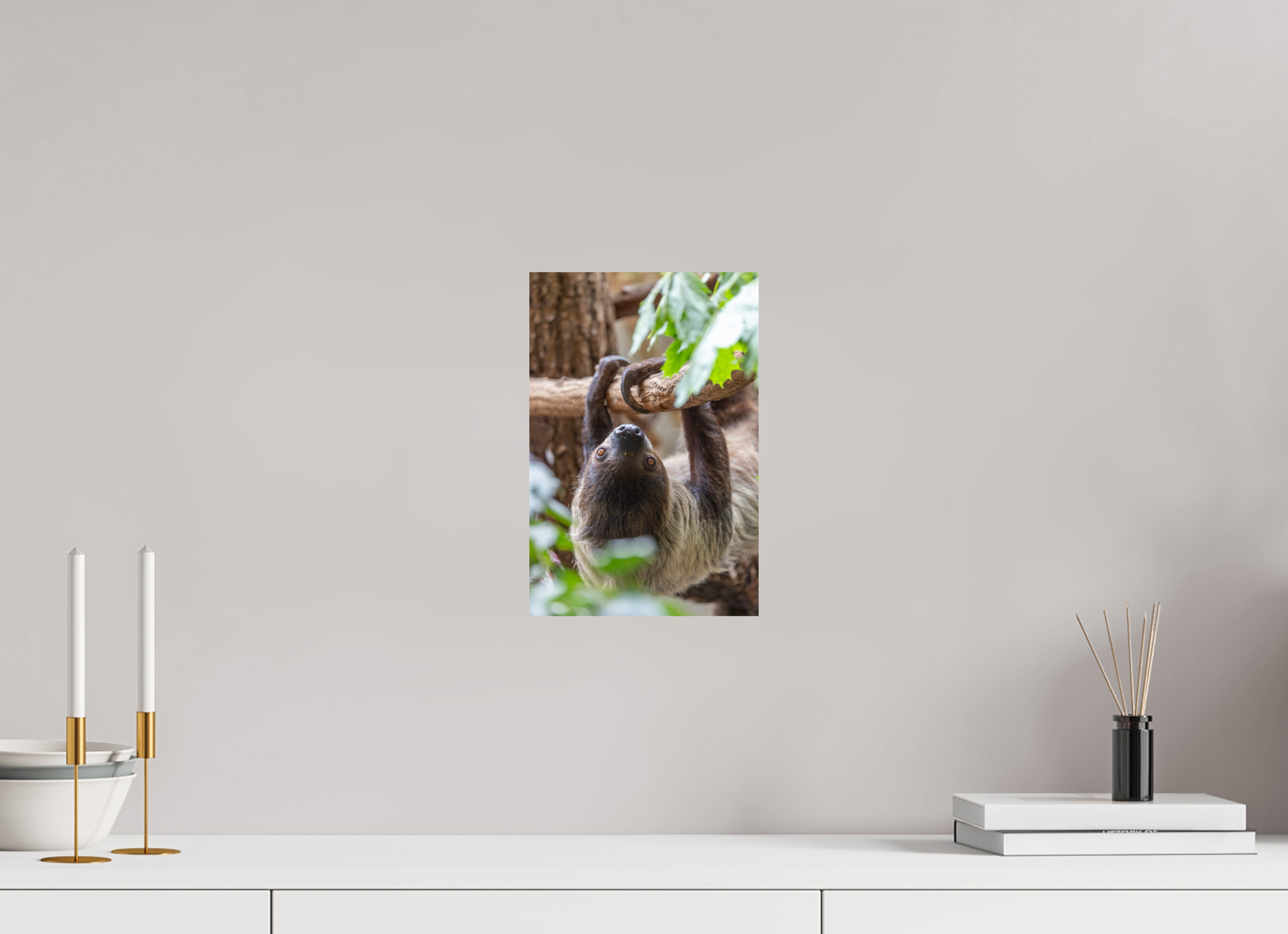 20 x 30 cm, Fine Art Print auf Alu-Dibond Hanging Around