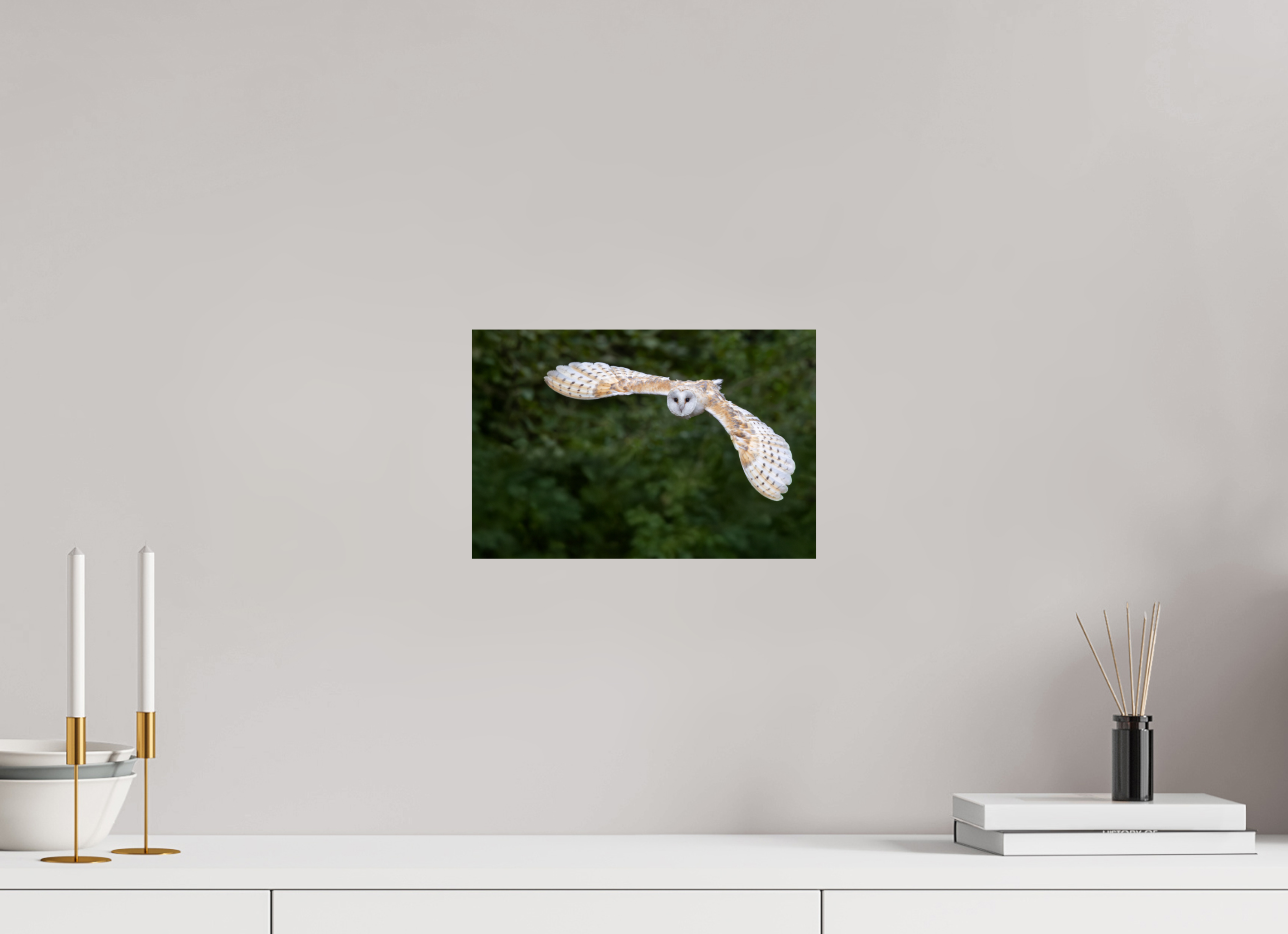 30 x 20 cm, Fine Art Print auf Alu-Dibond Silent Flight