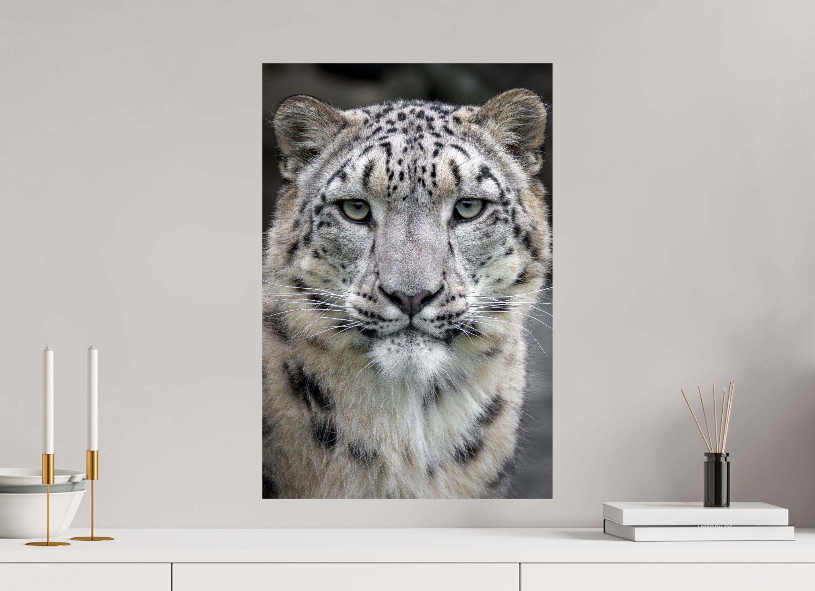 40 x 60 cm, Fine Art Print auf Alu-Dibond Gentle Curiosity