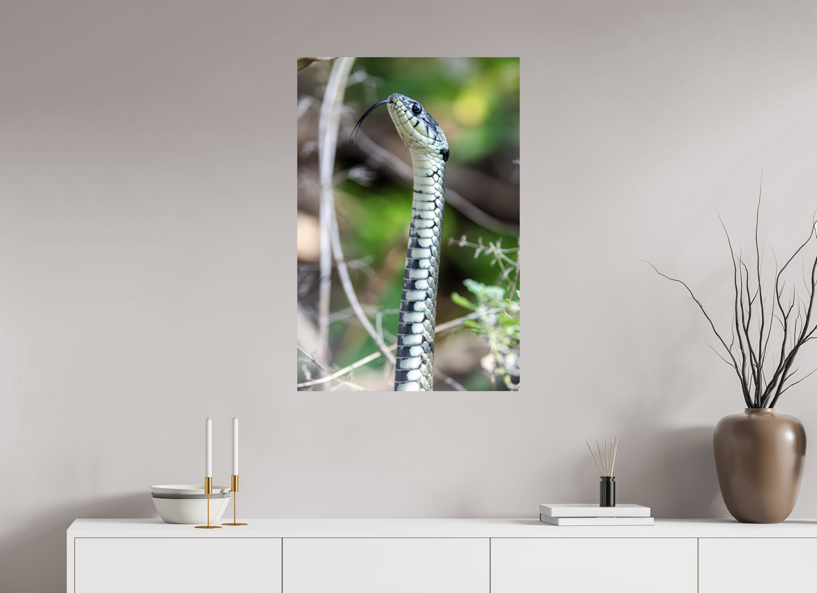60 x 90 cm, Fine Art Print auf Alu-Dibond Forest Serpent