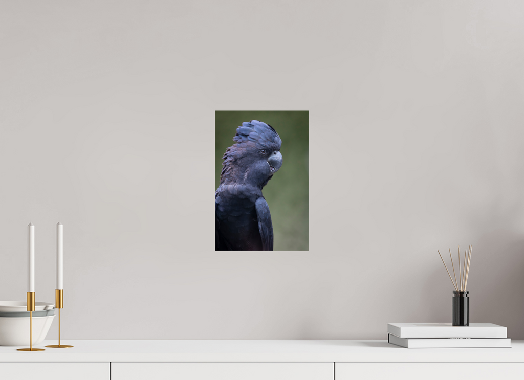 20 x 30 cm, Fine Art Print auf Alu-Dibond Profile of the Black Cockatoo