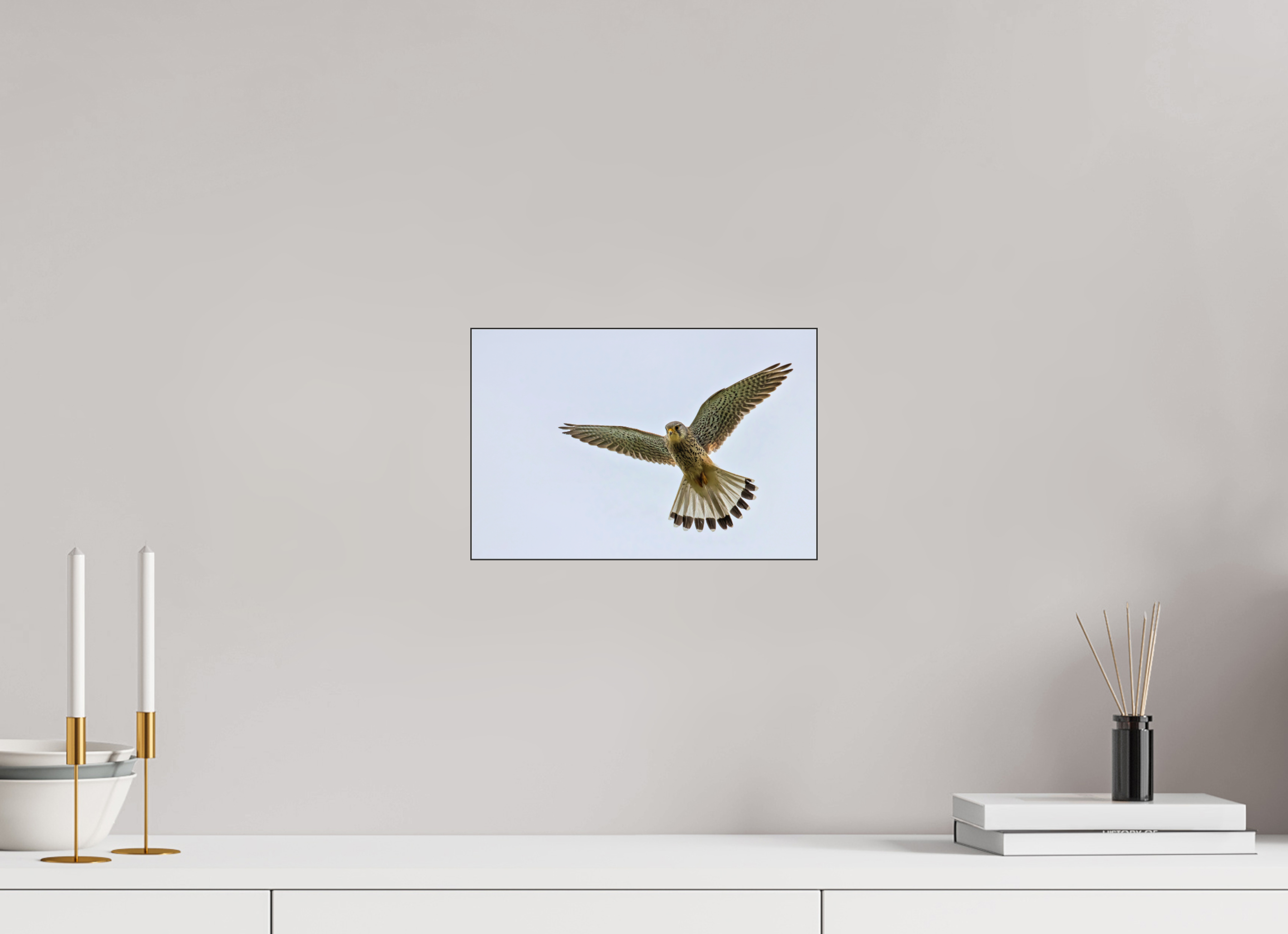 30 x 20 cm, Foto-Abzug hinter Acrylglas glänzend Hovering Hunter