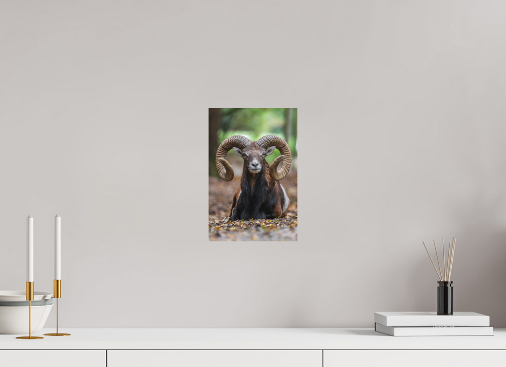 20 x 30 cm, Fine-Art Matt Majestic Rest