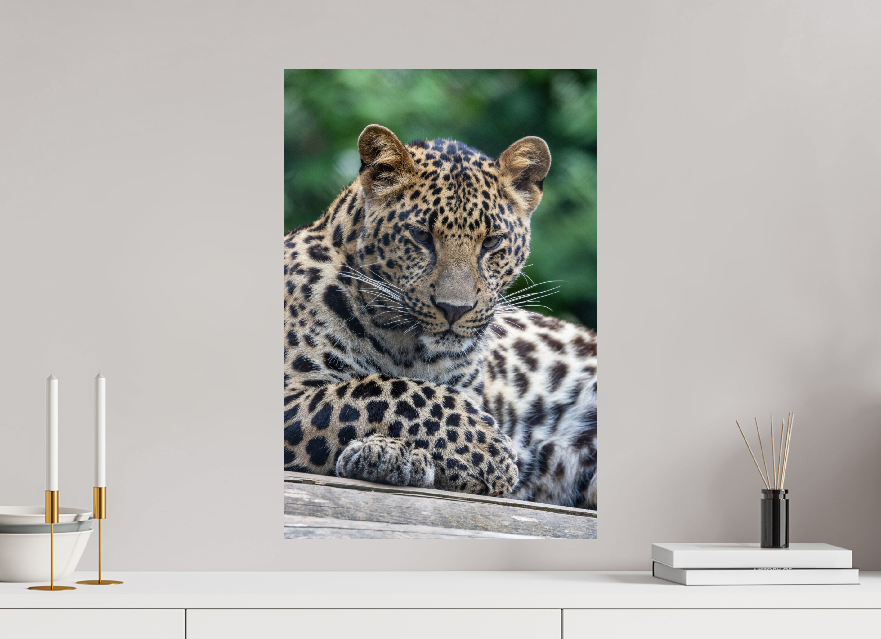 40 x 60 cm, Fine Art Print auf Alu-Dibond Silent Majesty