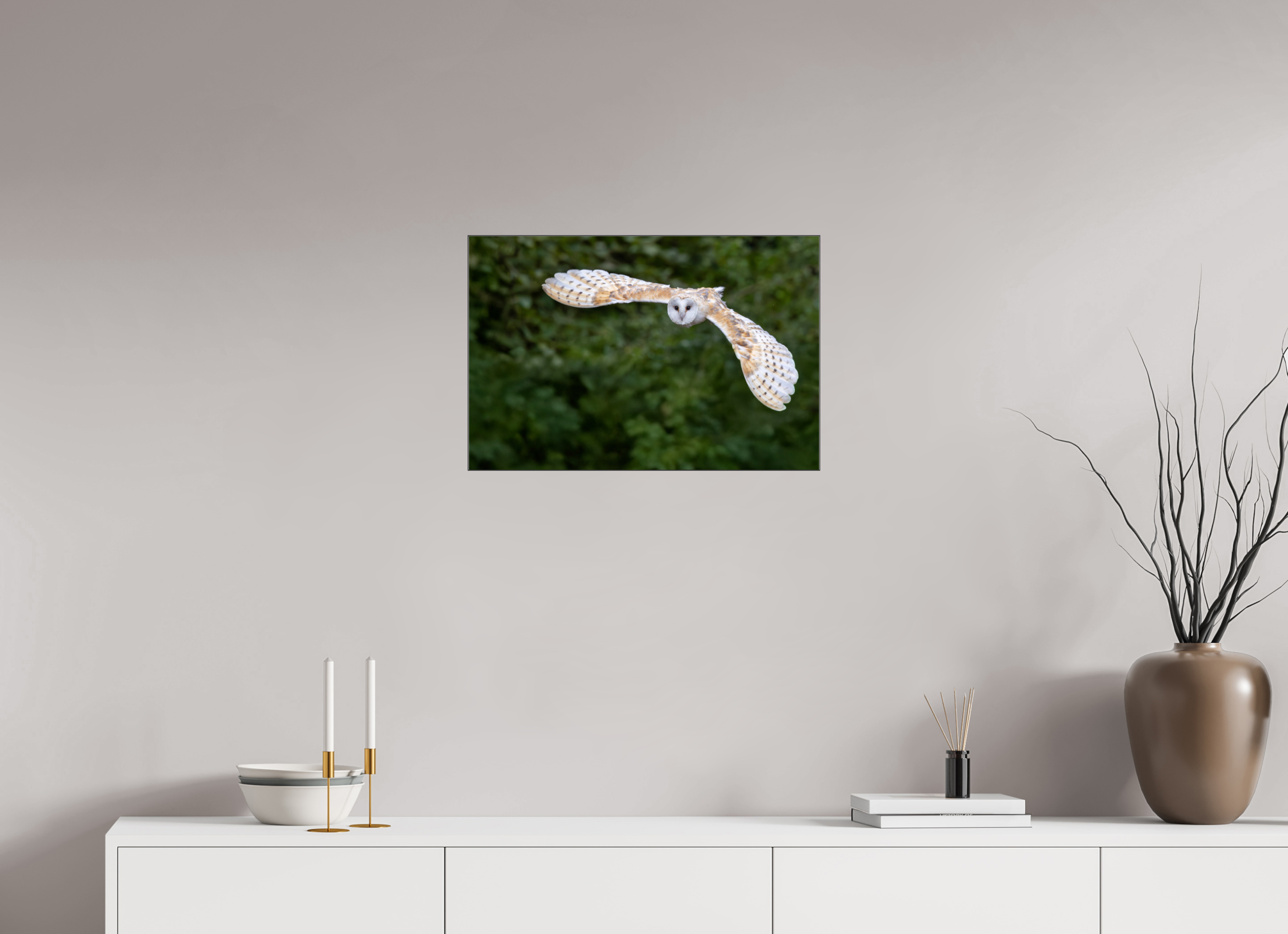 60 x 40 cm, Foto-Abzug hinter Acrylglas glänzend Silent Flight