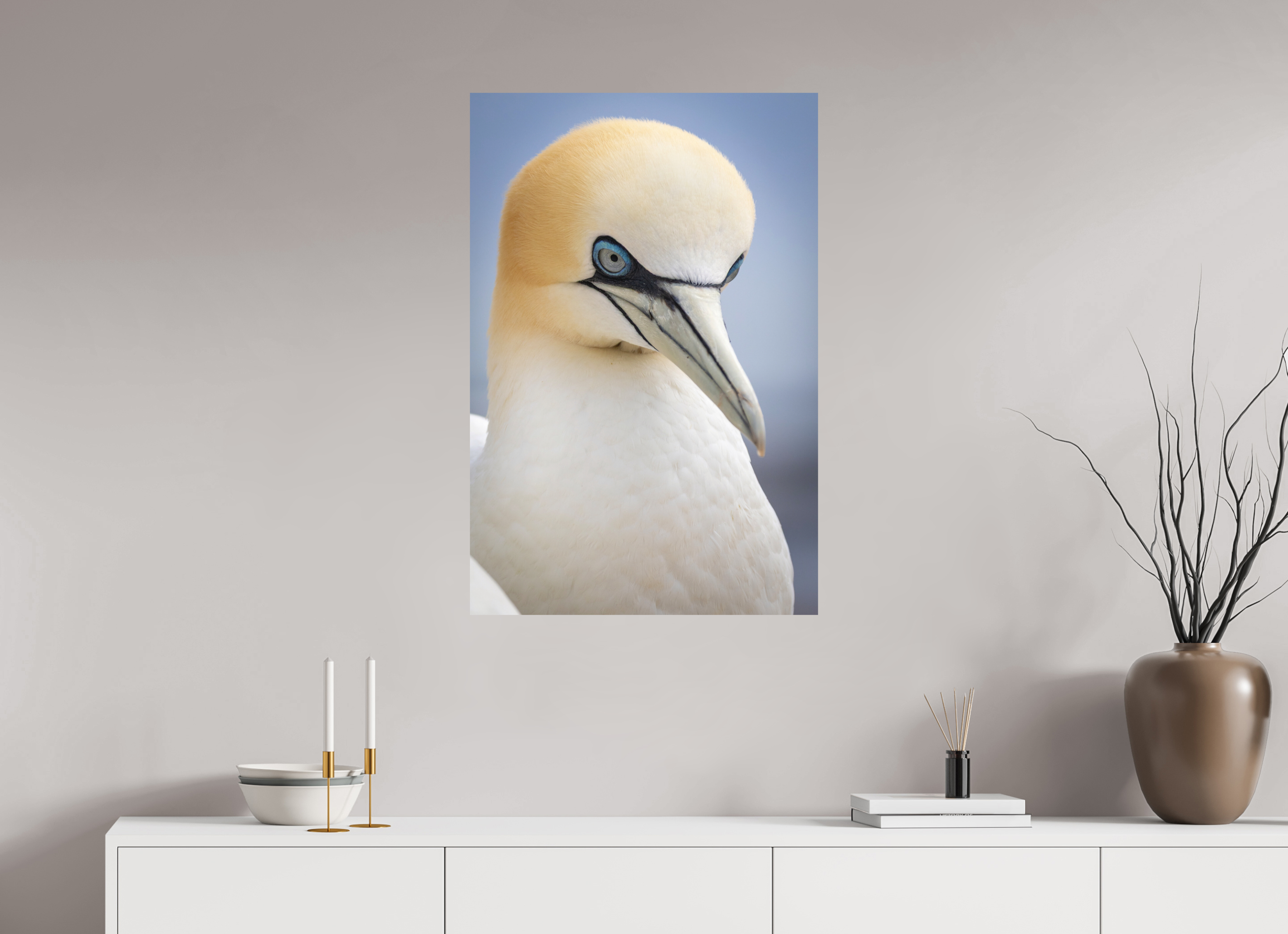 60 x 90 cm, Fine-Art Print Matt Seabird Majesty