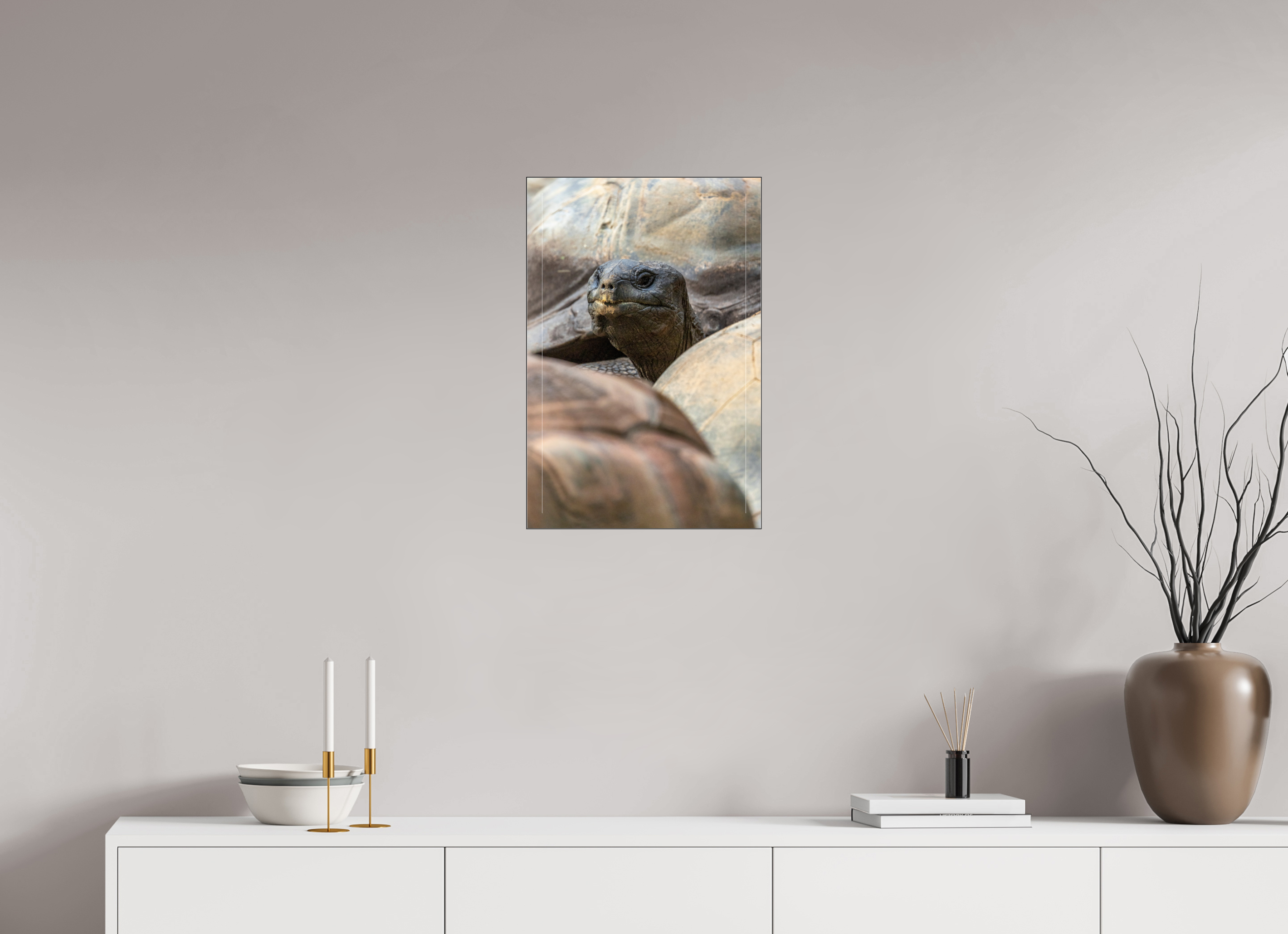 40 x 60 cm, Foto-Abzug hinter Acrylglas glänzend Peekaboo Giant