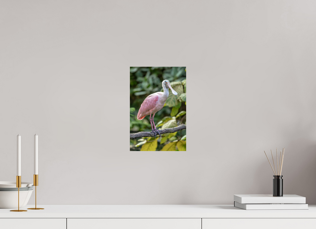 20 x 30 cm, Fine Art Print auf Alu-Dibond Perched in Pink