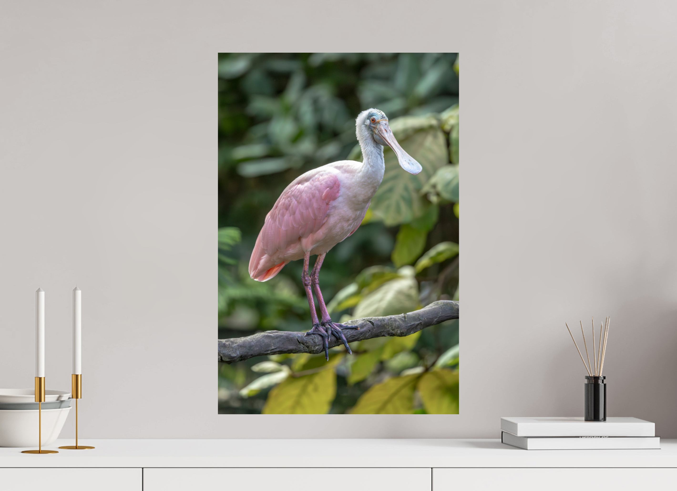 40 x 60 cm, Fine Art Print auf Alu-Dibond Perched in Pink