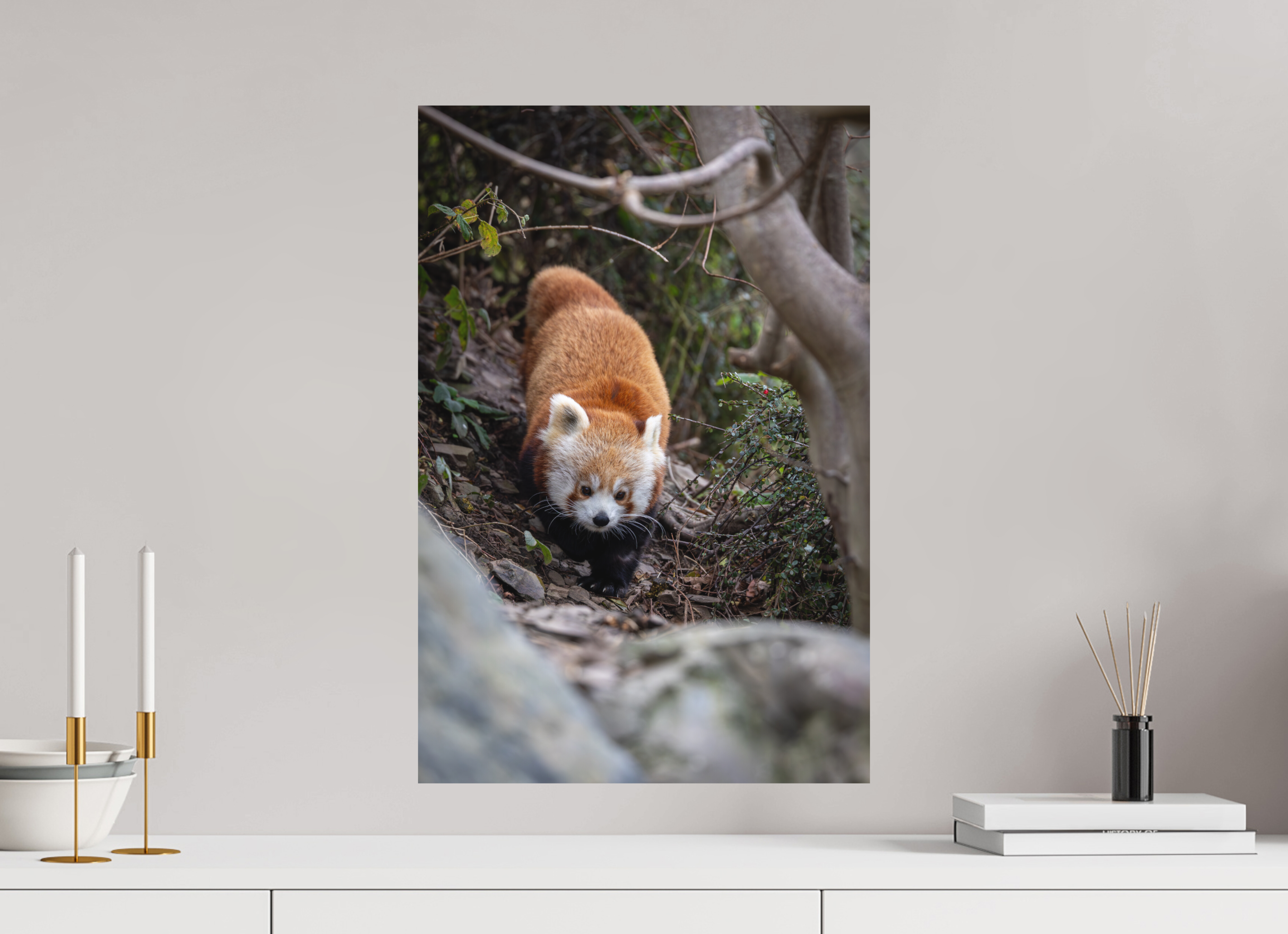 40 x 60 cm, Fine-Art Print Matt Forest Wanderer