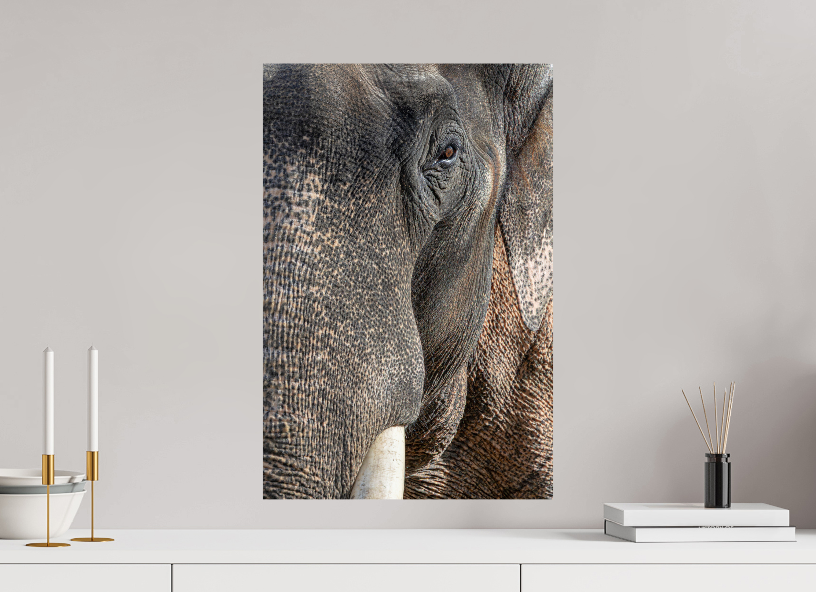 40 x 60 cm, Fine Art Print auf Alu-Dibond Soul of the Elephant