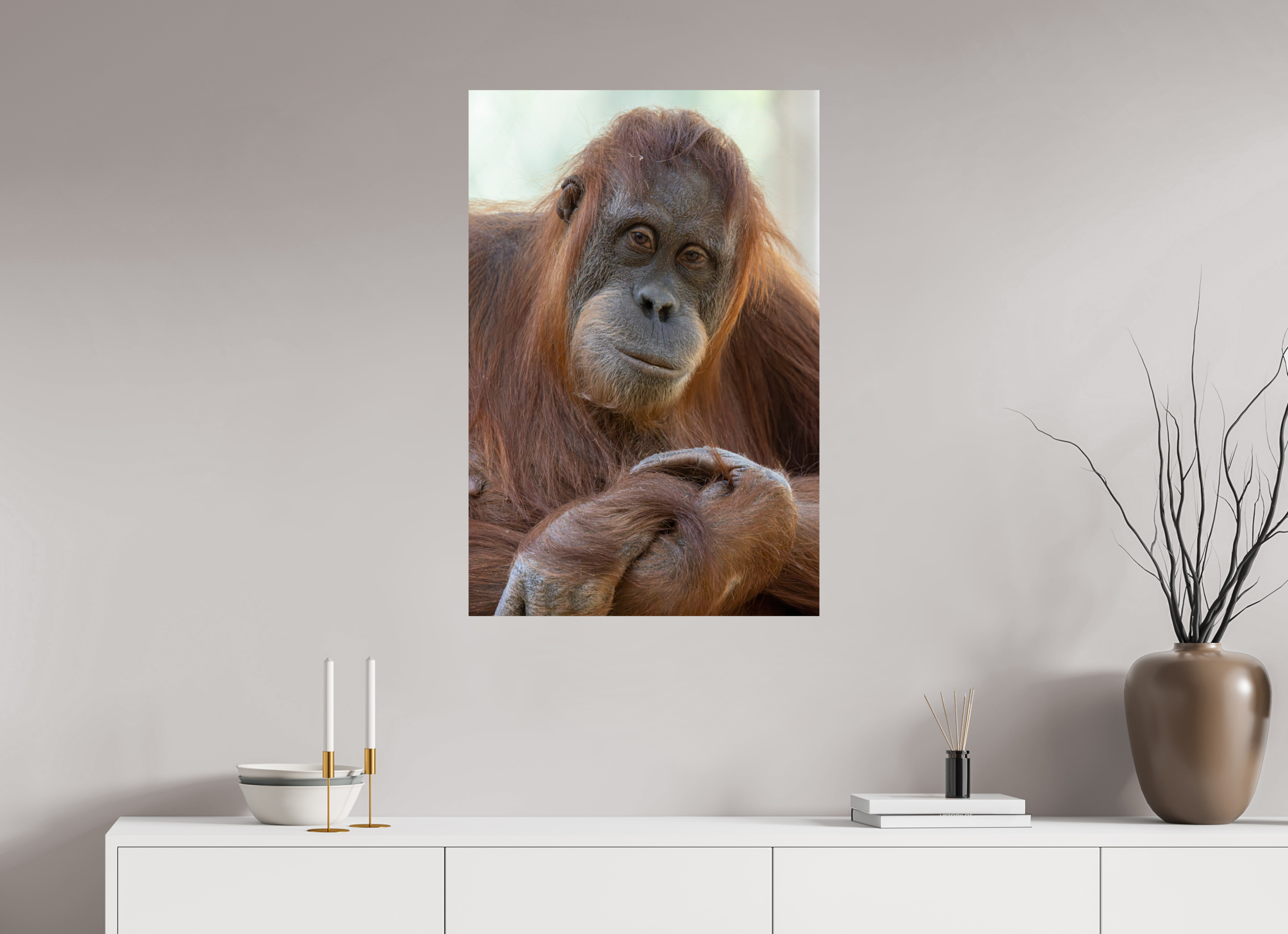 60 x 90 cm, Fine Art Print auf Alu-Dibond Soulful Gaze