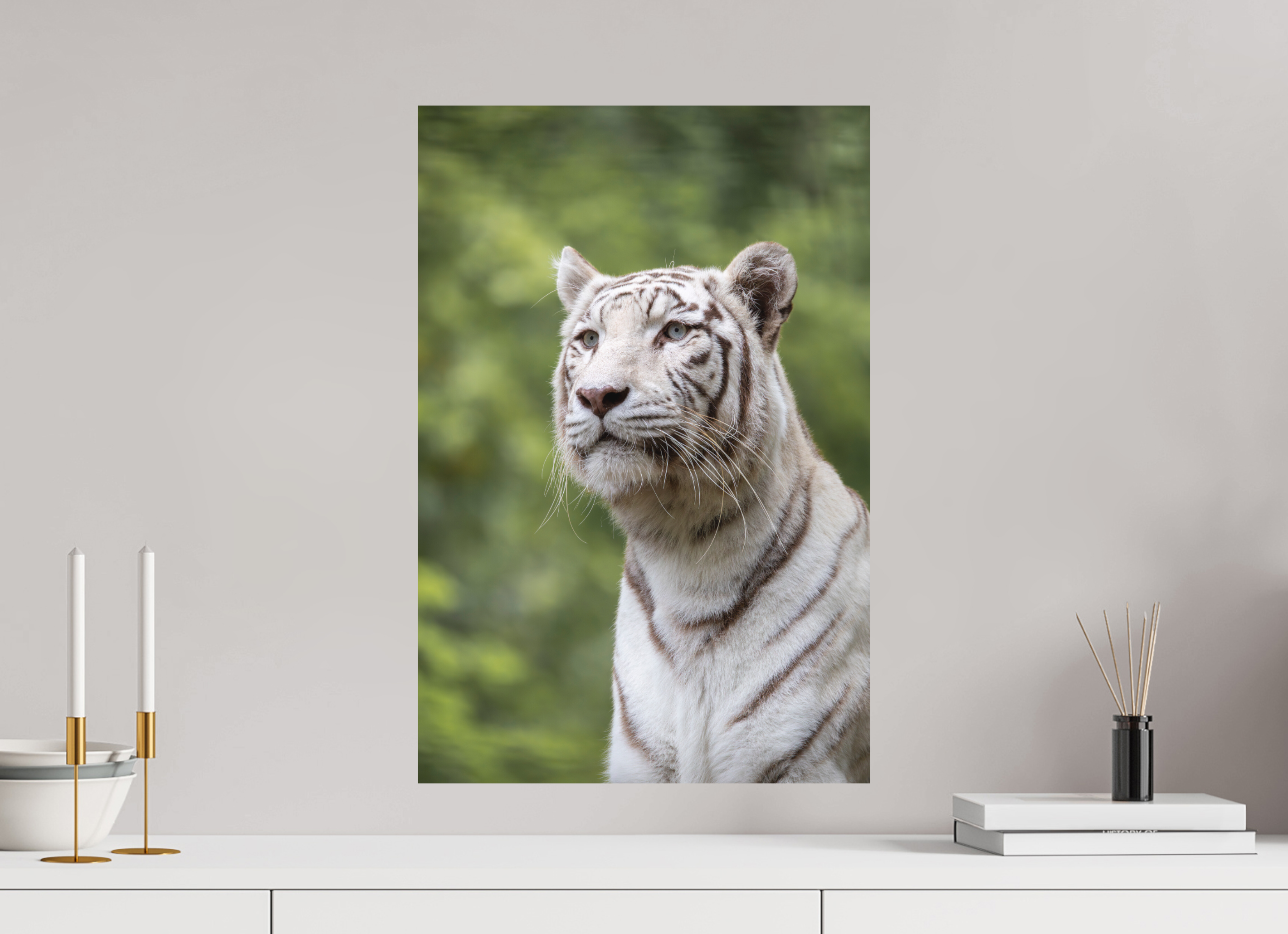 40 x 60 cm, Fine-Art Print Matt Gaze of the White King