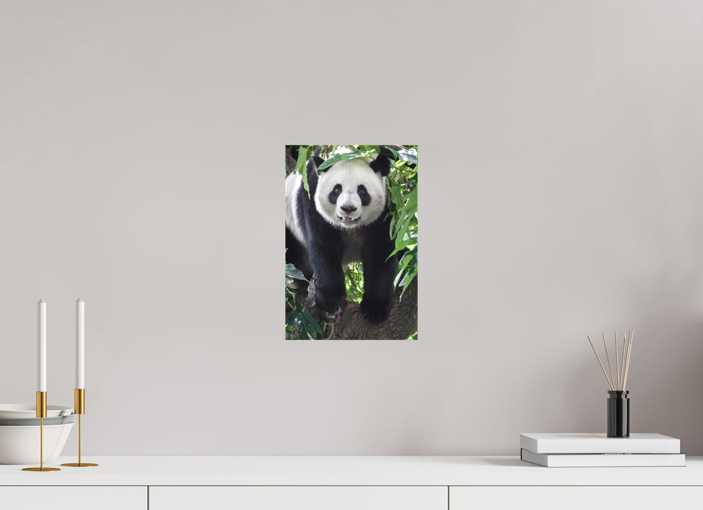 20 x 30 cm, Leinwand Panda Portrait