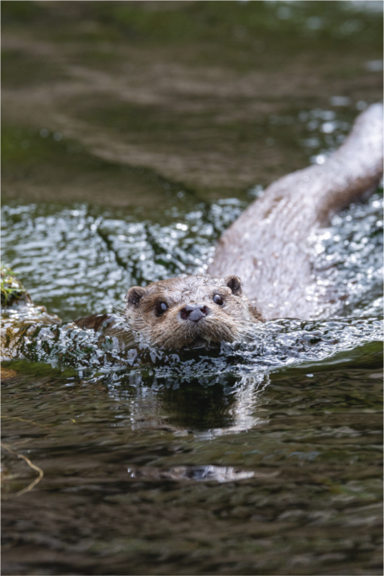 Main image Curious Approach