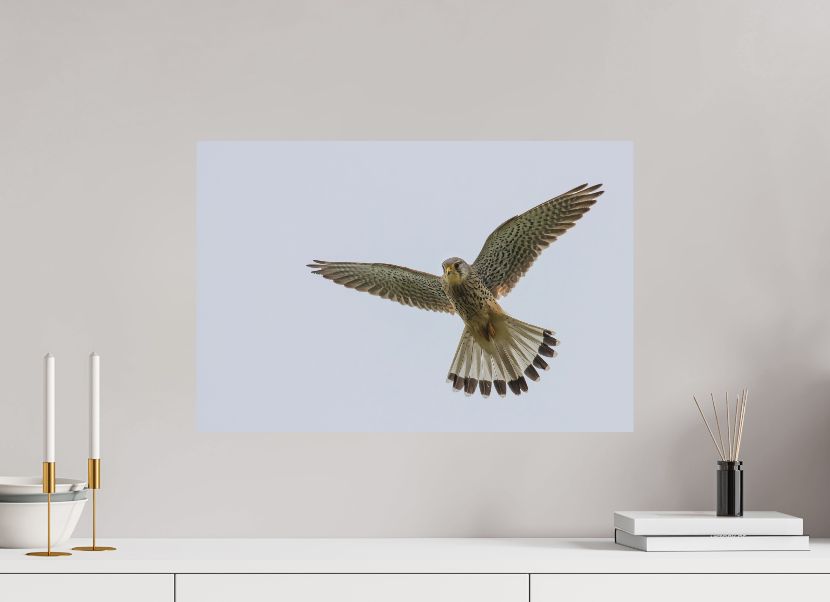 60 x 40 cm, Fine-Art Matt Hovering Hunter