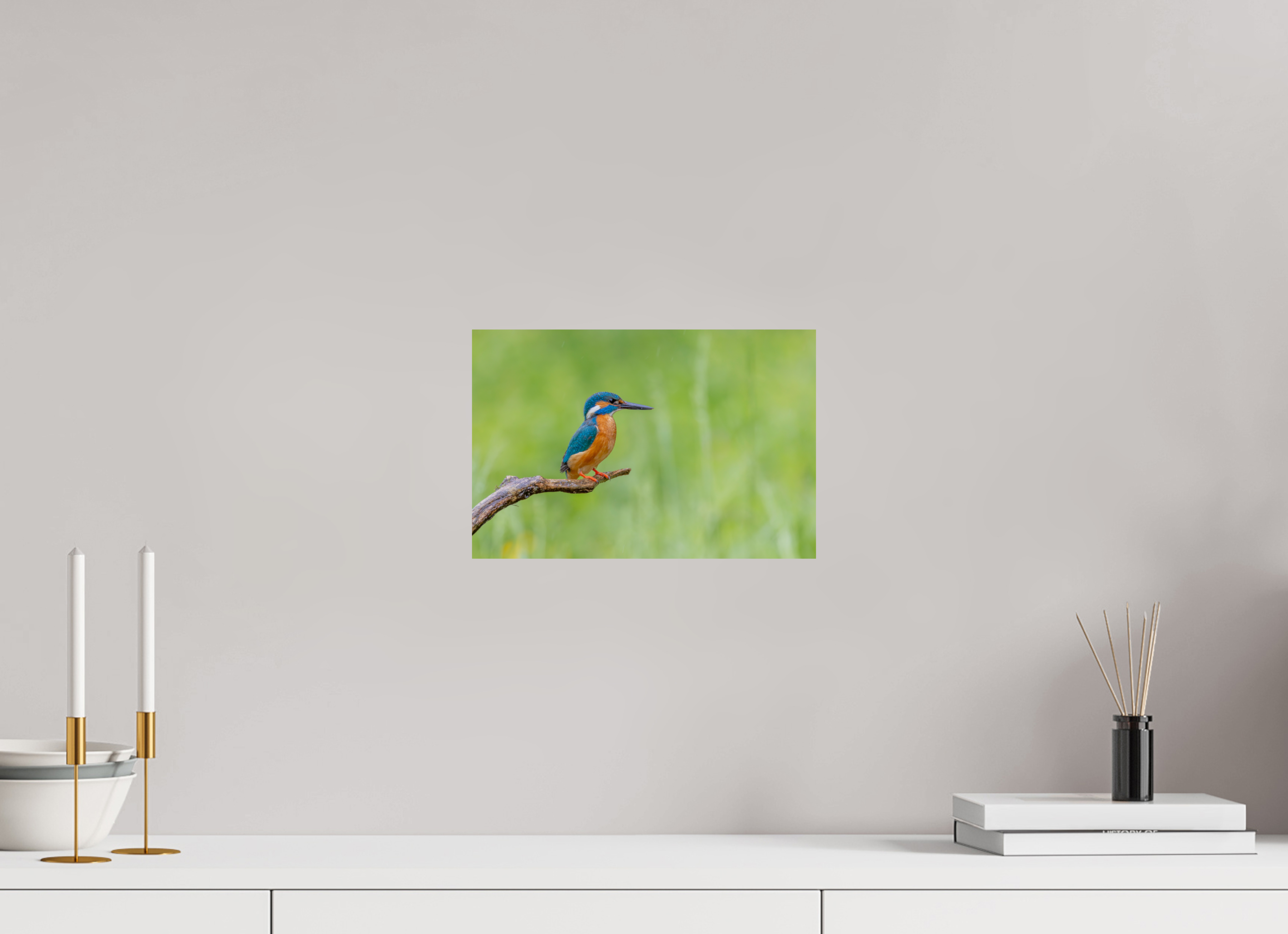 30 x 20 cm, Fine Art Print auf Alu-Dibond Silent Watcher