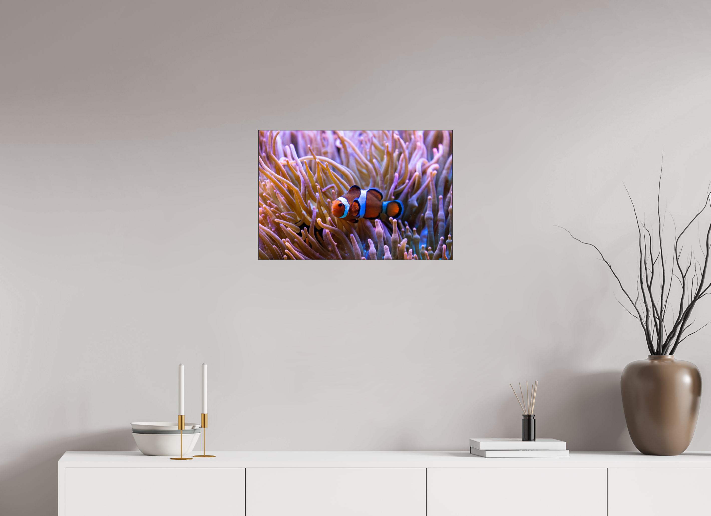 60 x 40 cm, Foto-Abzug hinter Acrylglas glänzend Reef Life