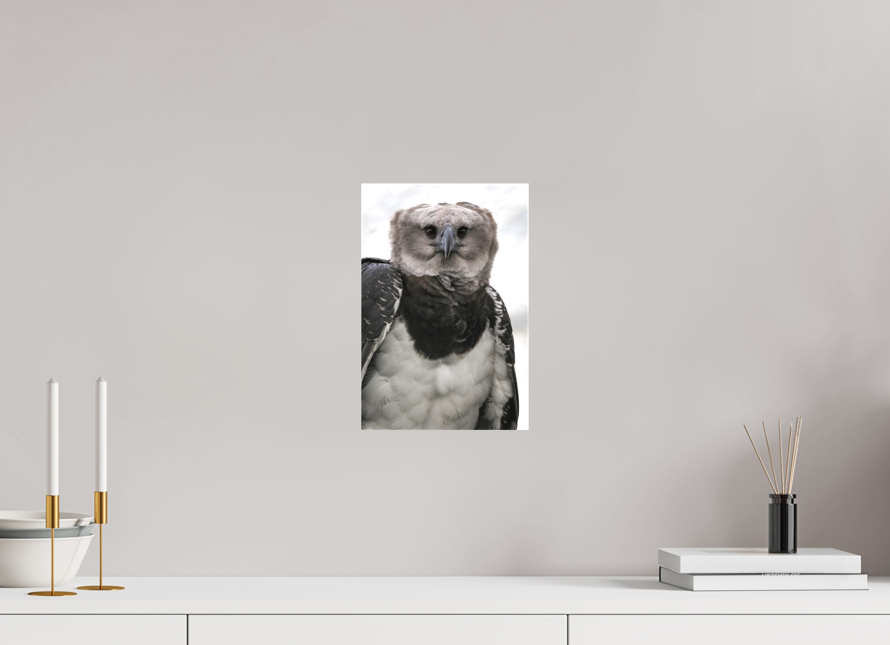 20 x 30 cm, Leinwand Guardian of the Canopy