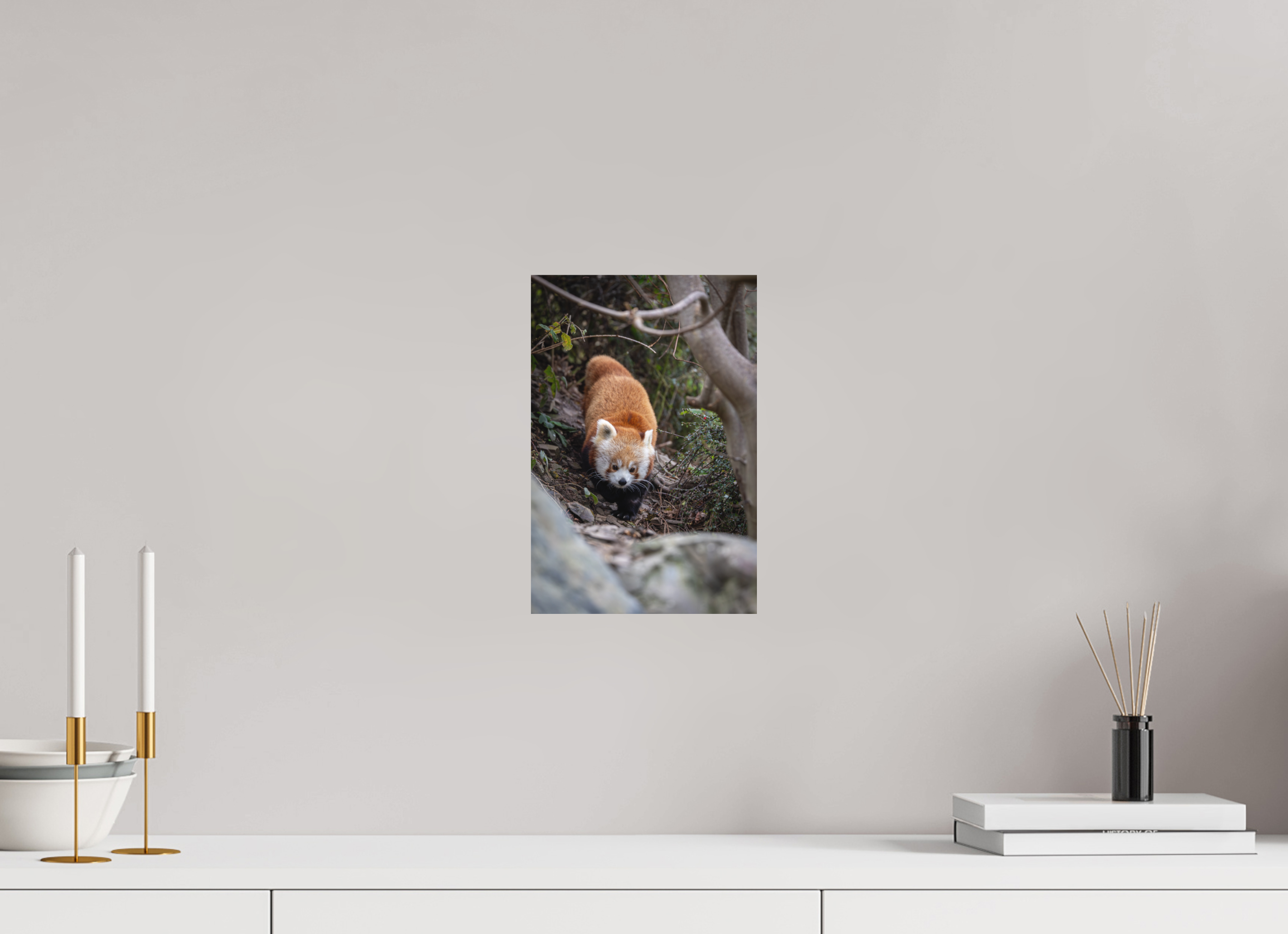 20 x 30 cm, Fine-Art Print Matt Forest Wanderer