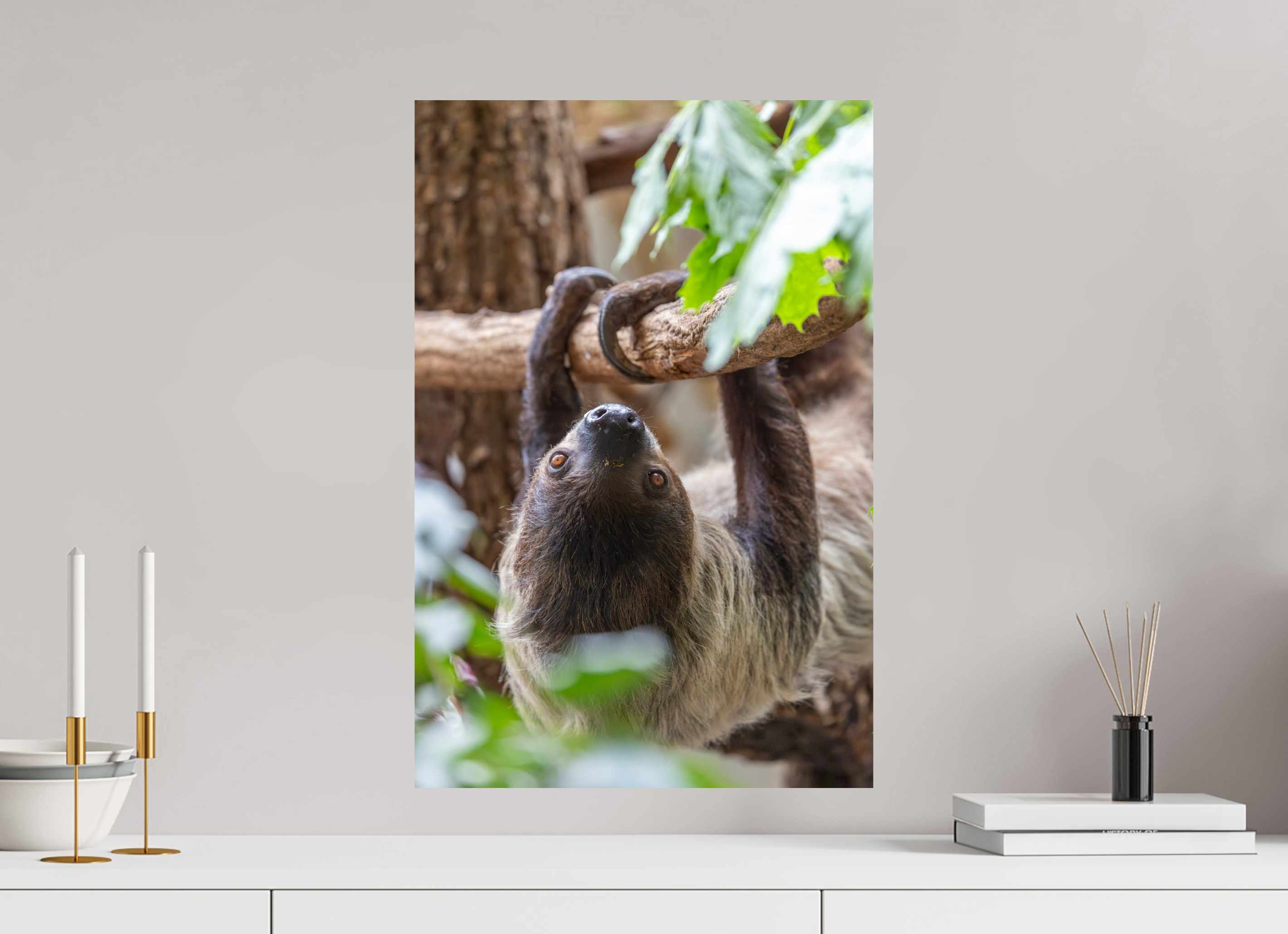 40 x 60 cm, Fine Art Print auf Alu-Dibond Hanging Around