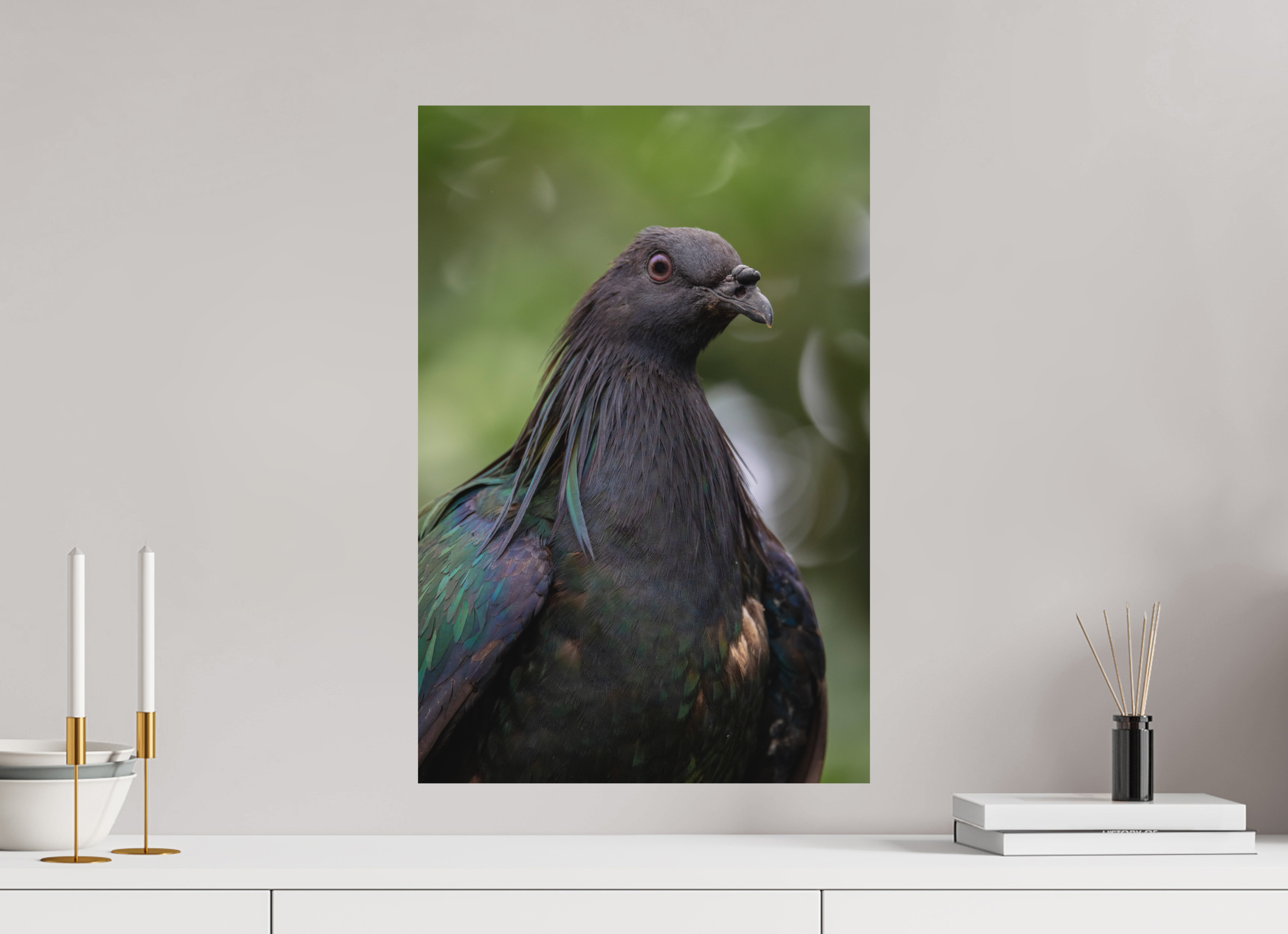 40 x 60 cm, Fine-Art Print Matt Midnight Collar