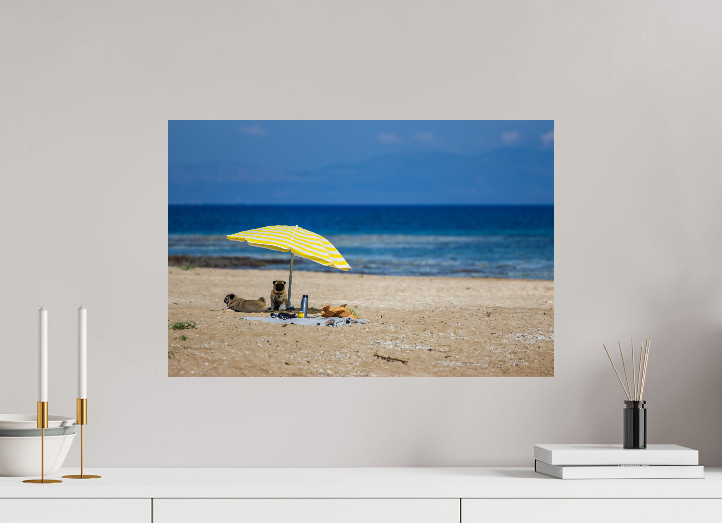 60 x 40 cm, Fine Art Print auf Alu-Dibond Pug Paradise