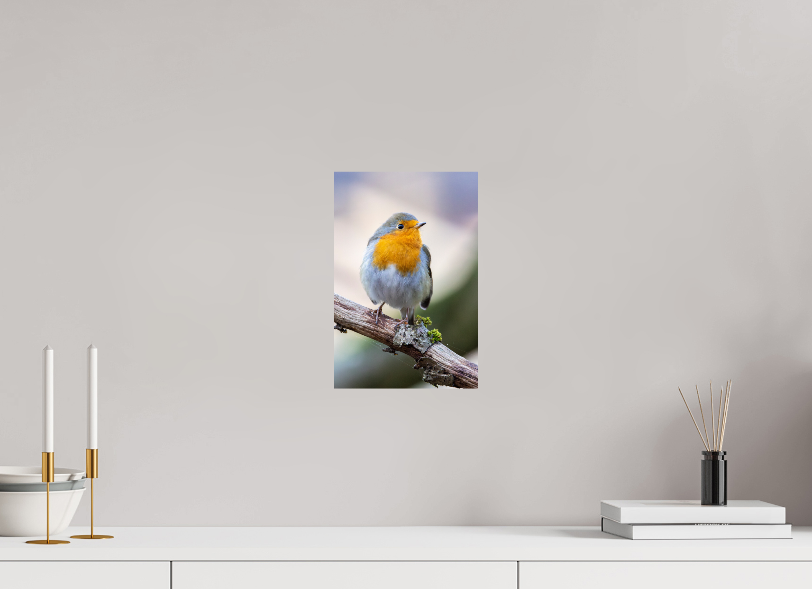 20 x 30 cm, Fine Art Print auf Alu-Dibond Perched in Light