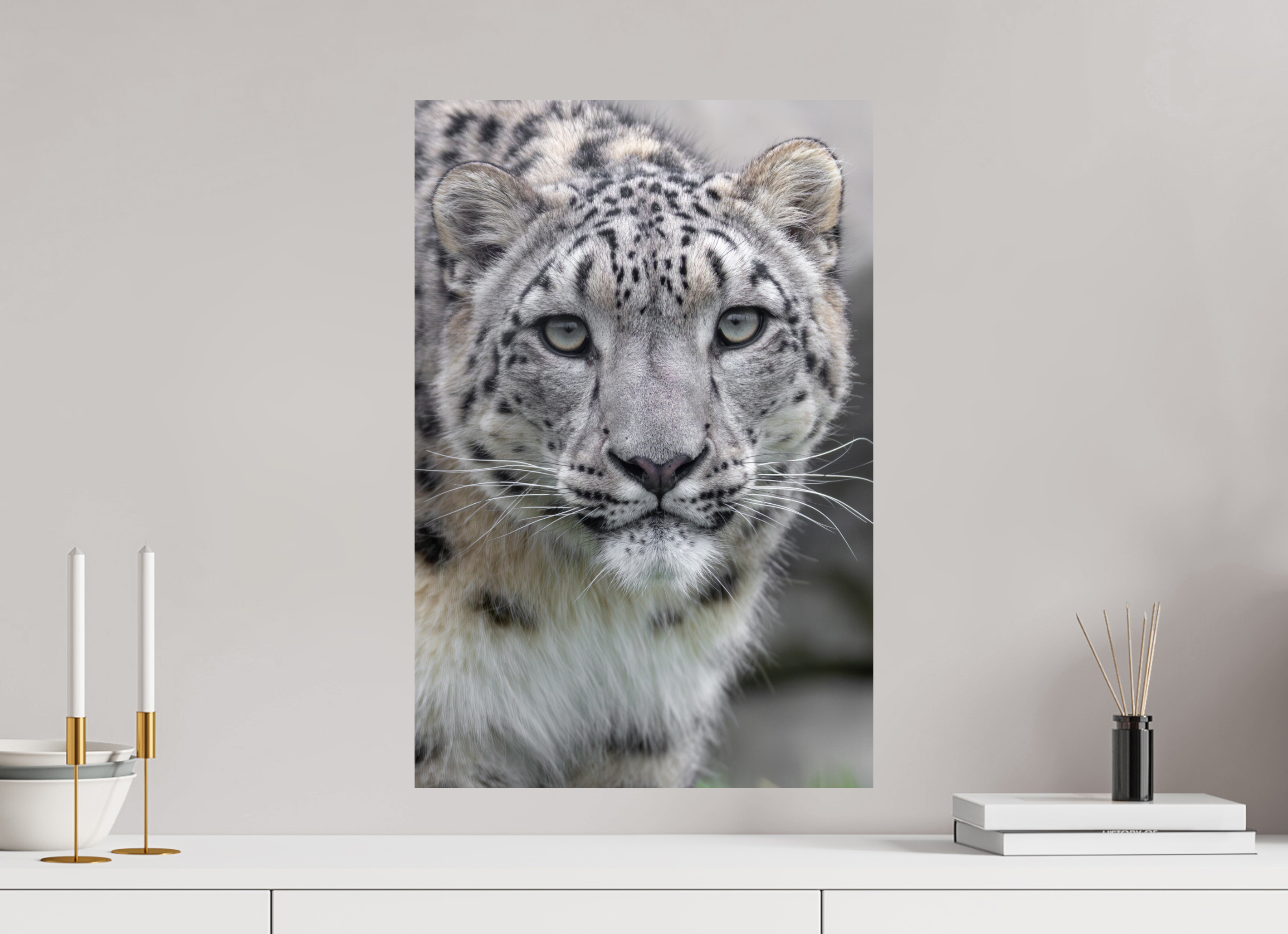 40 x 60 cm, Fine Art Print auf Alu-Dibond Gentle Curiosity