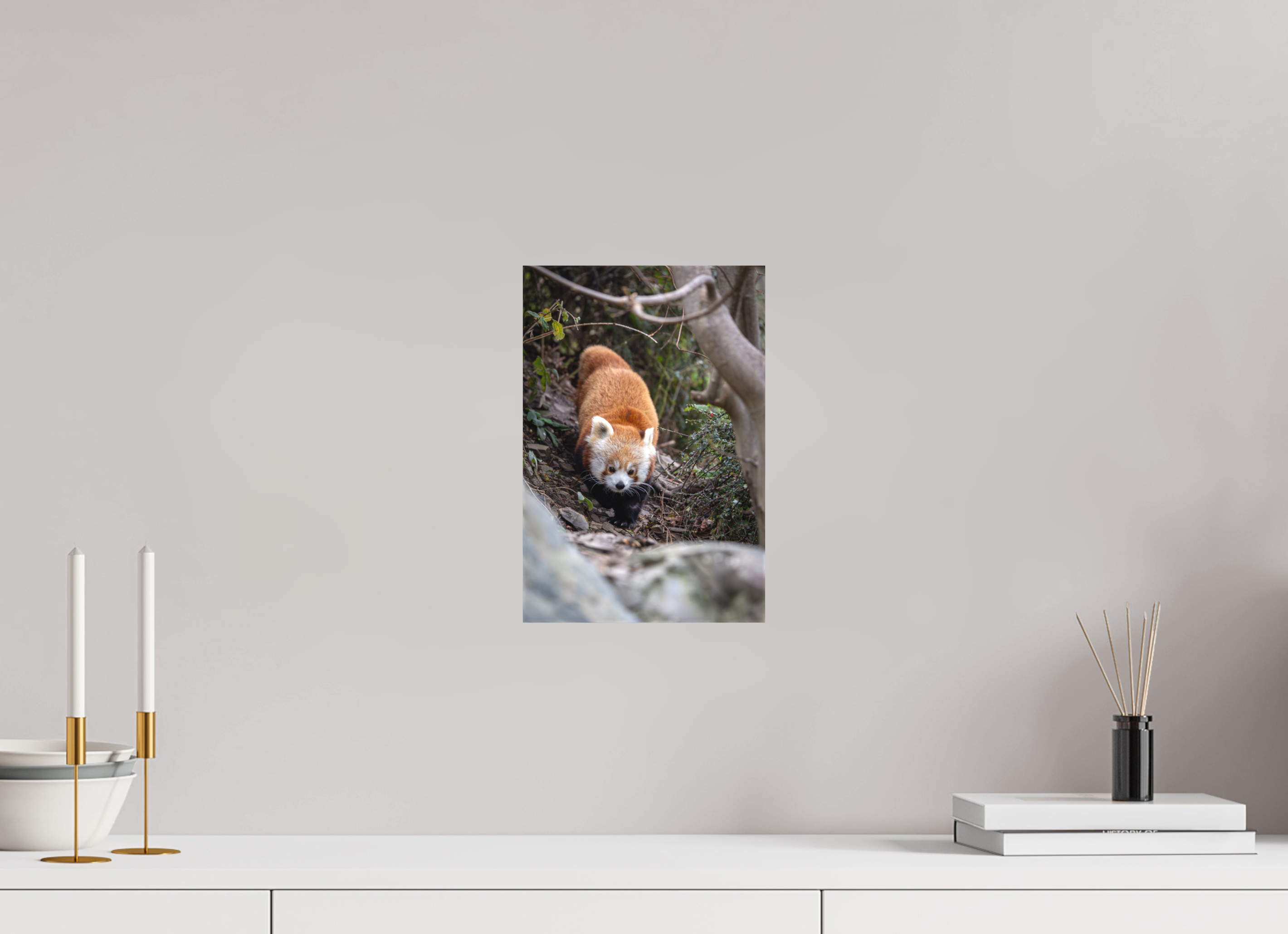 20 x 30 cm, Leinwand Forest Wanderer
