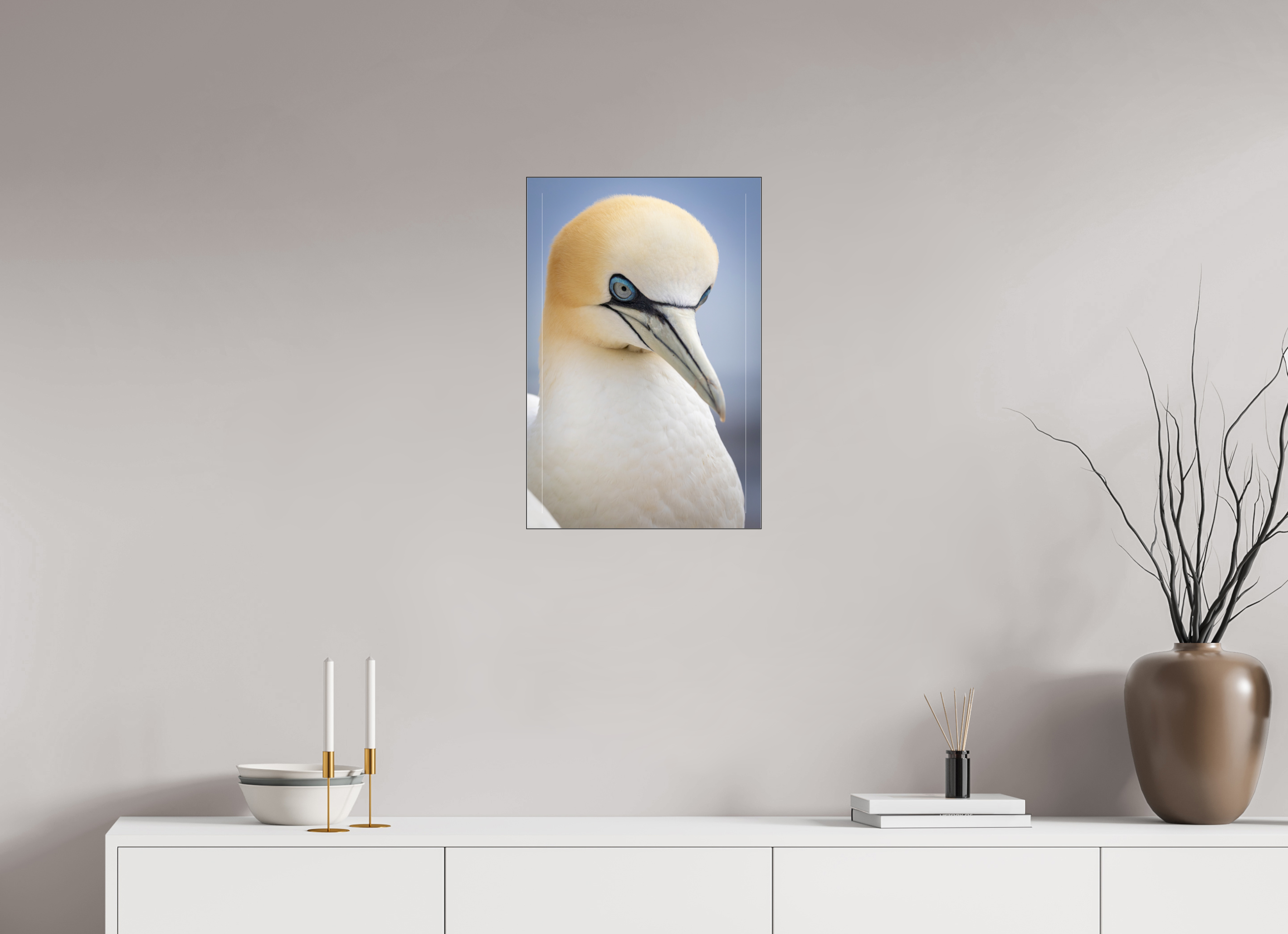 40 x 60 cm, Foto-Abzug hinter Acrylglas glänzend Seabird Majesty