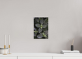 20 x 30 cm, Fine-Art Matt Nature’s Design