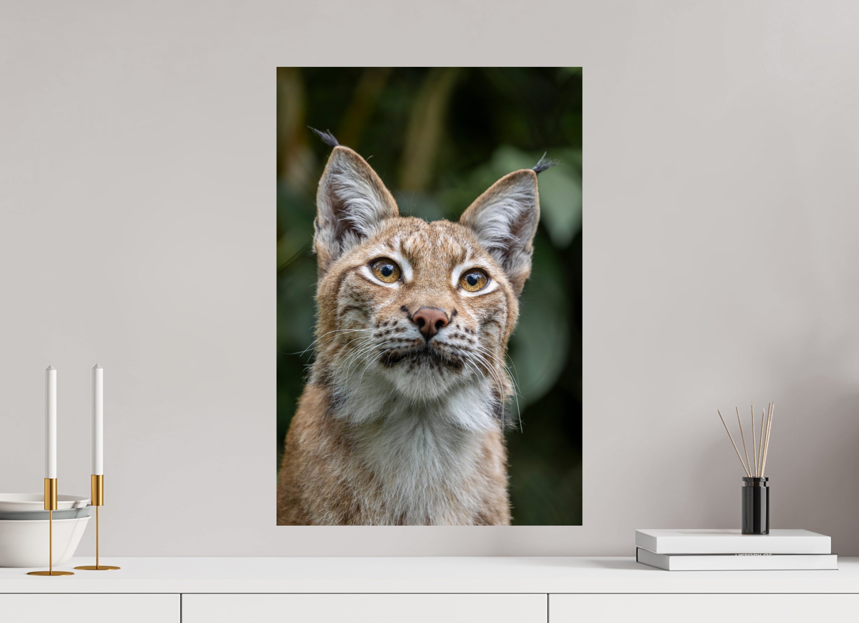 40 x 60 cm, Fine Art Print auf Alu-Dibond Forest Eyes