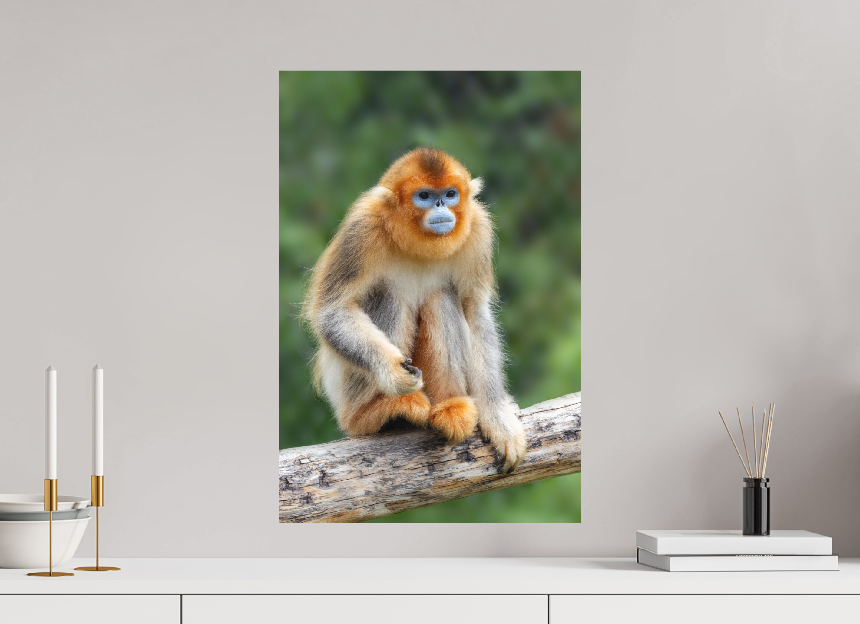 40 x 60 cm, Fine-Art Print Matt Golden Rest