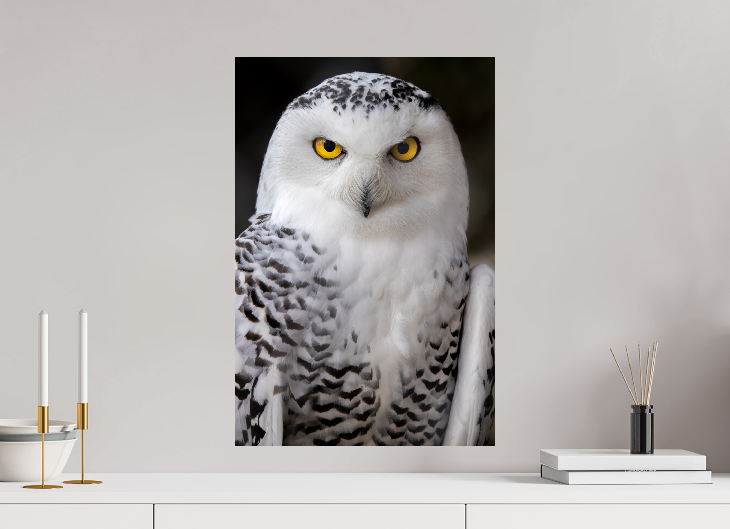40 x 60 cm, Fine Art Print auf Alu-Dibond Arctic Stare
