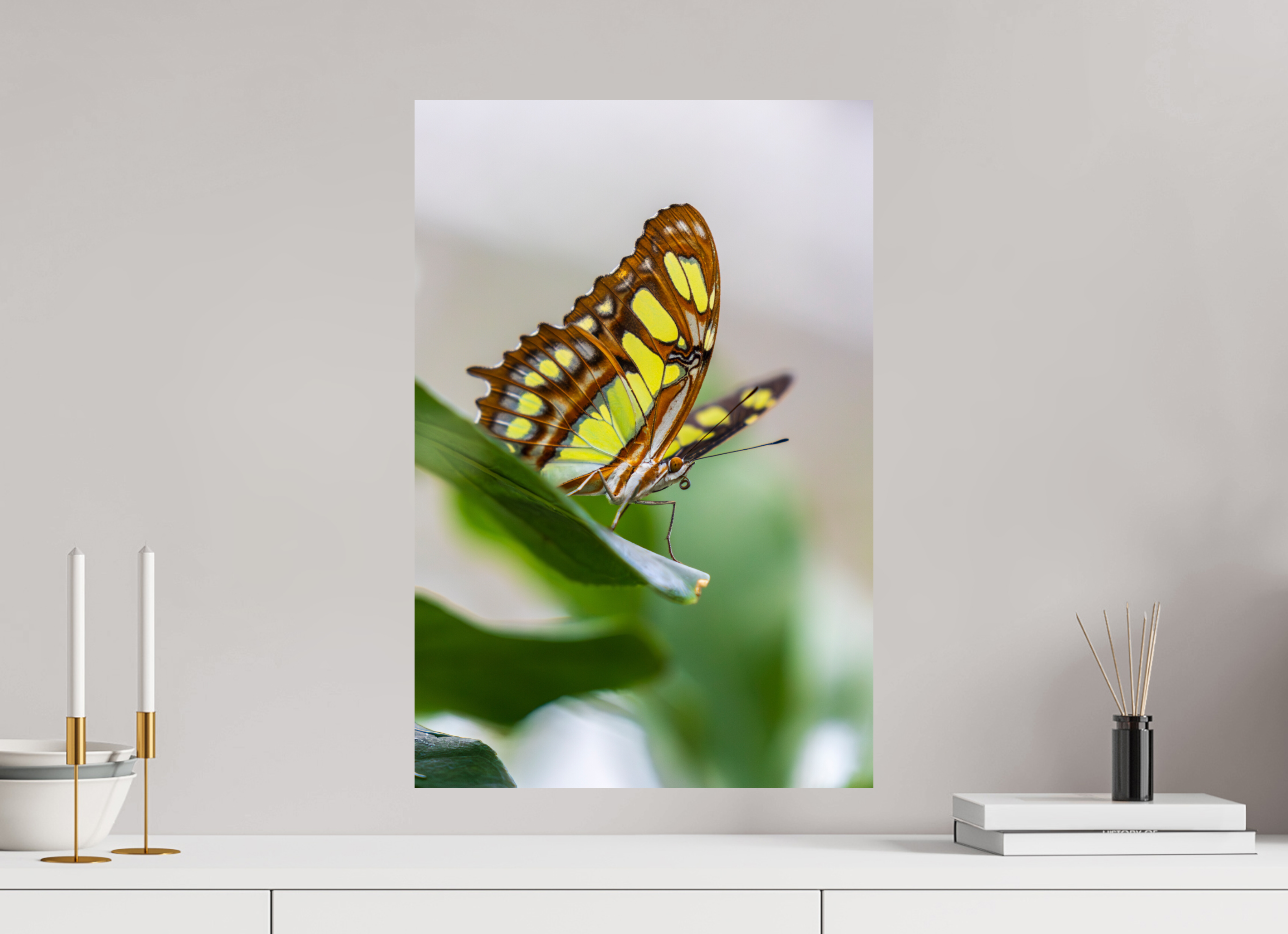 40 x 60 cm, Fine Art Print auf Alu-Dibond Soft Beauty