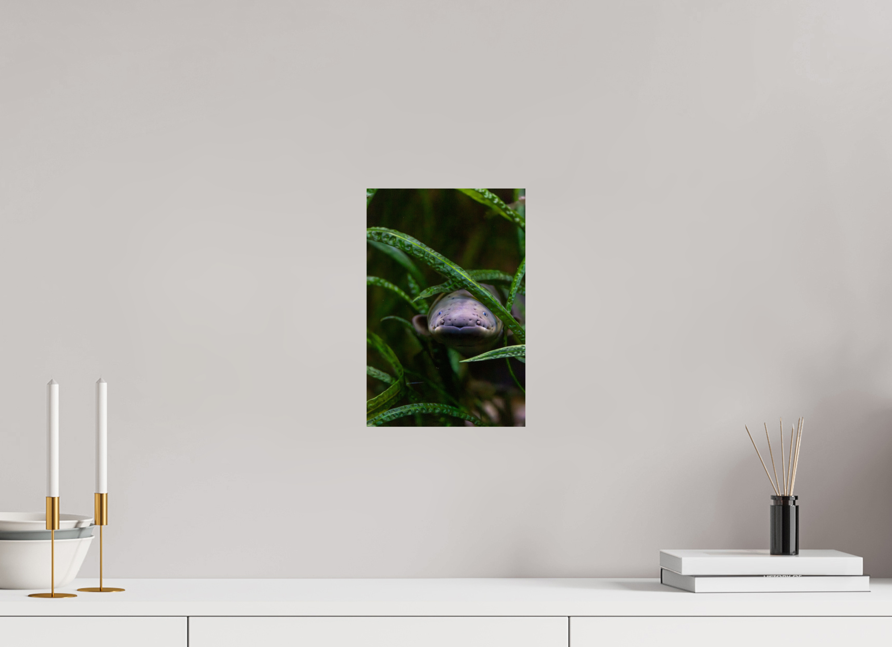 20 x 30 cm, Fine Art Print auf Alu-Dibond Electric Peek