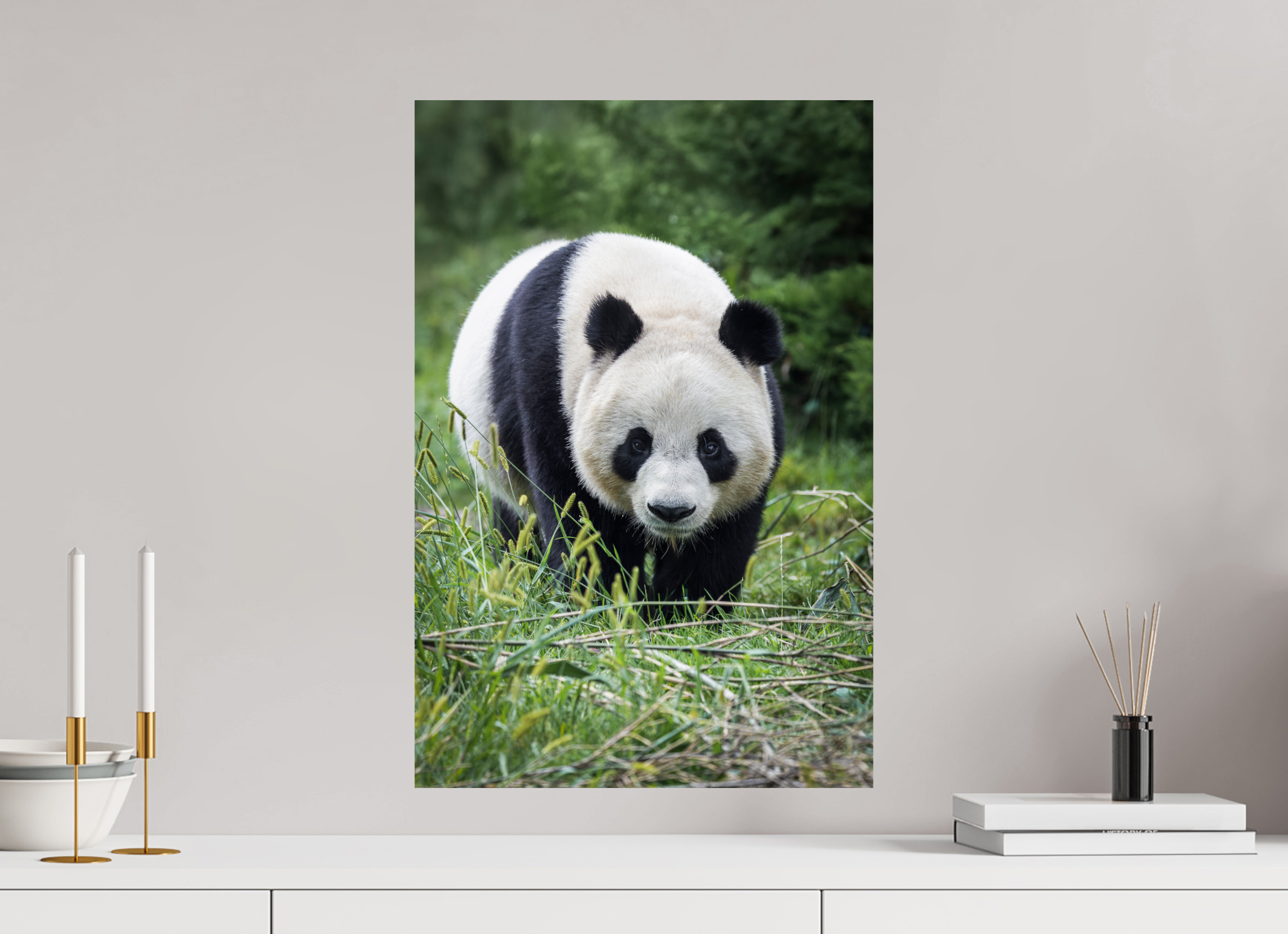 40 x 60 cm, Fine Art Print auf Alu-Dibond Forest Friend