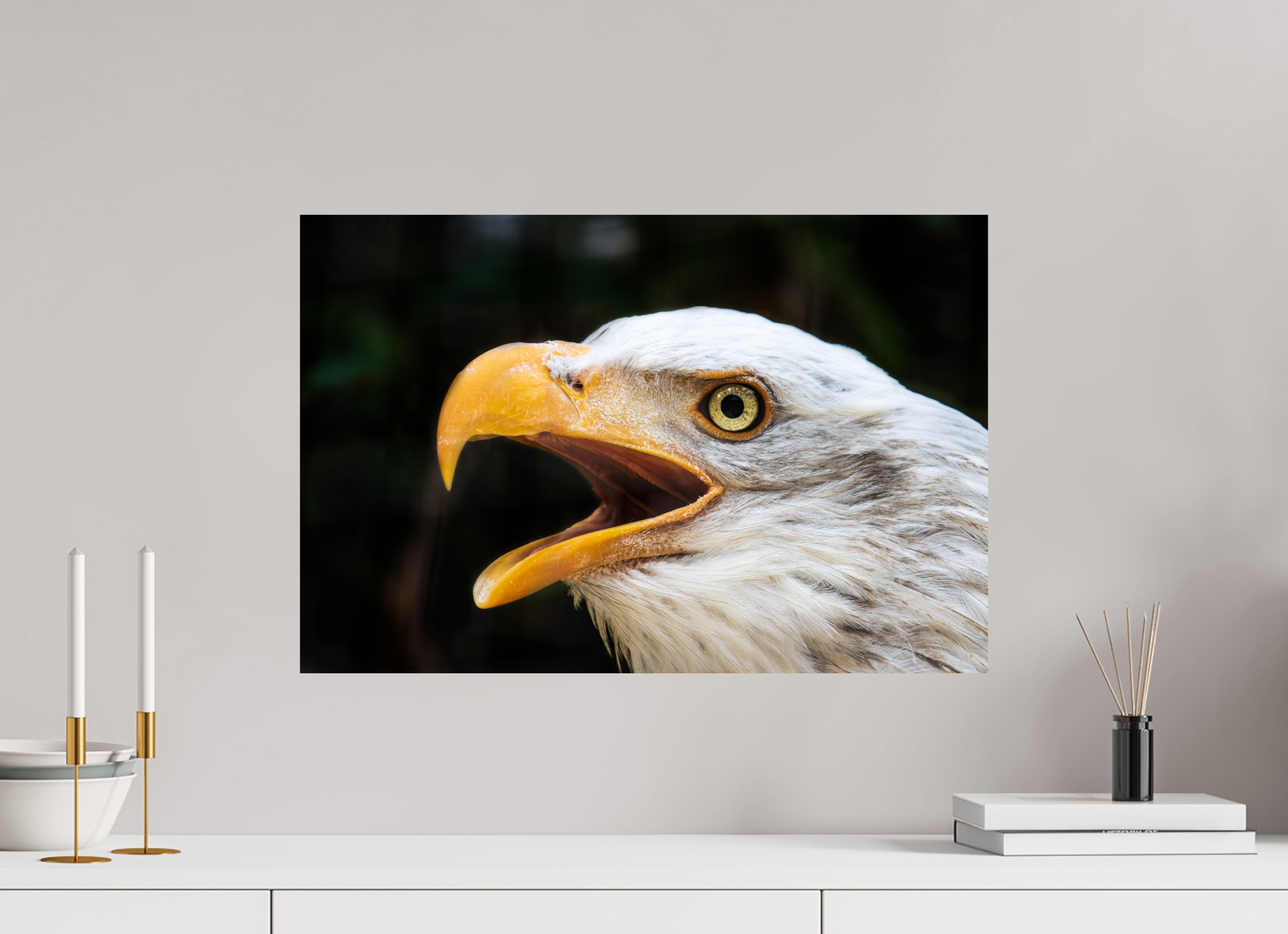 60 x 40 cm, Fine Art Print auf Alu-Dibond Majestic Call